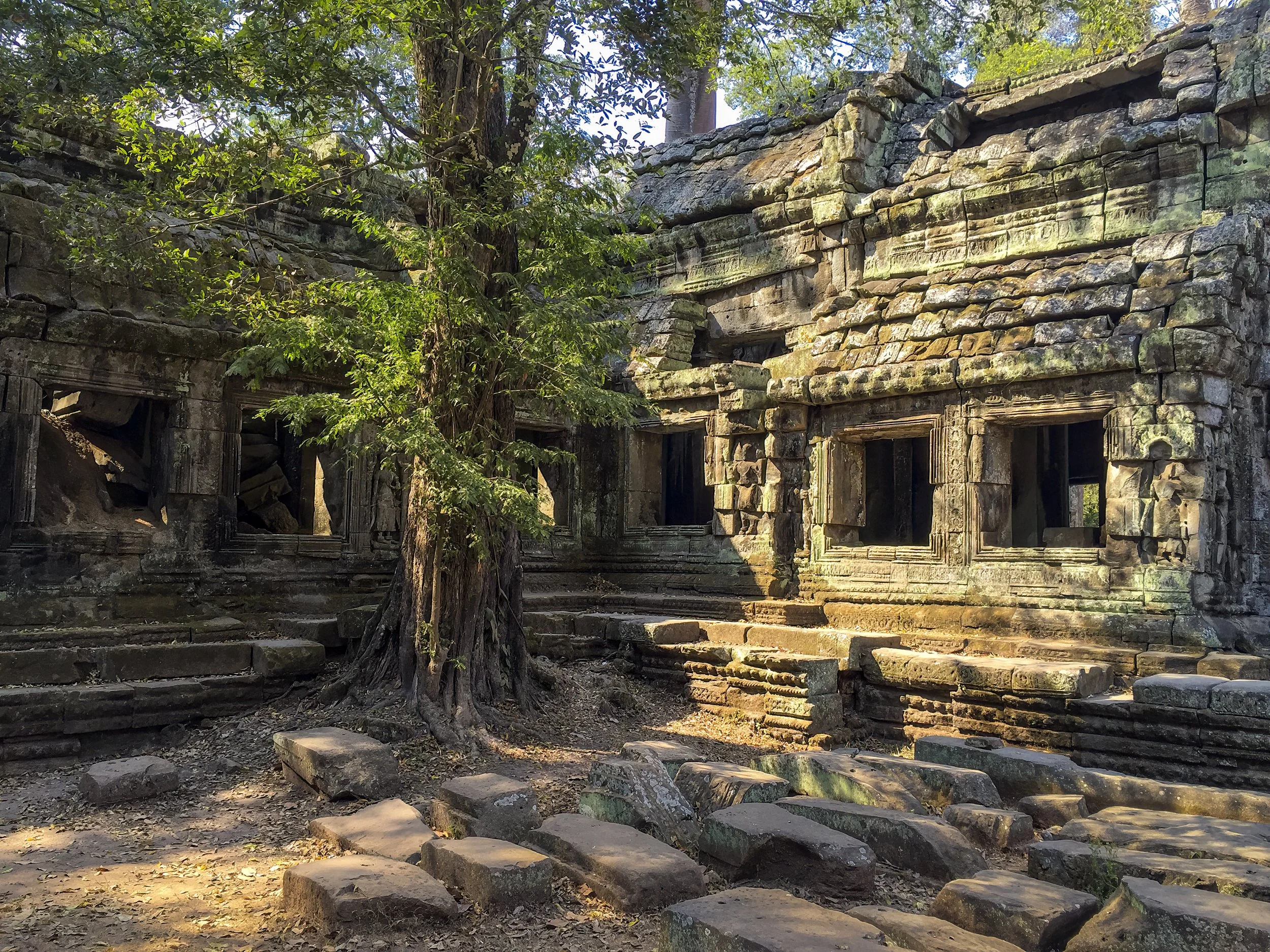 IMG_1113-2-Edit.jpg