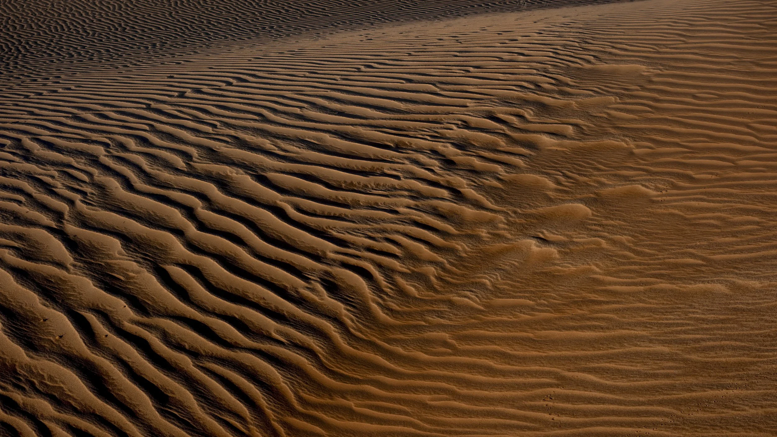 Sculpted Sands
