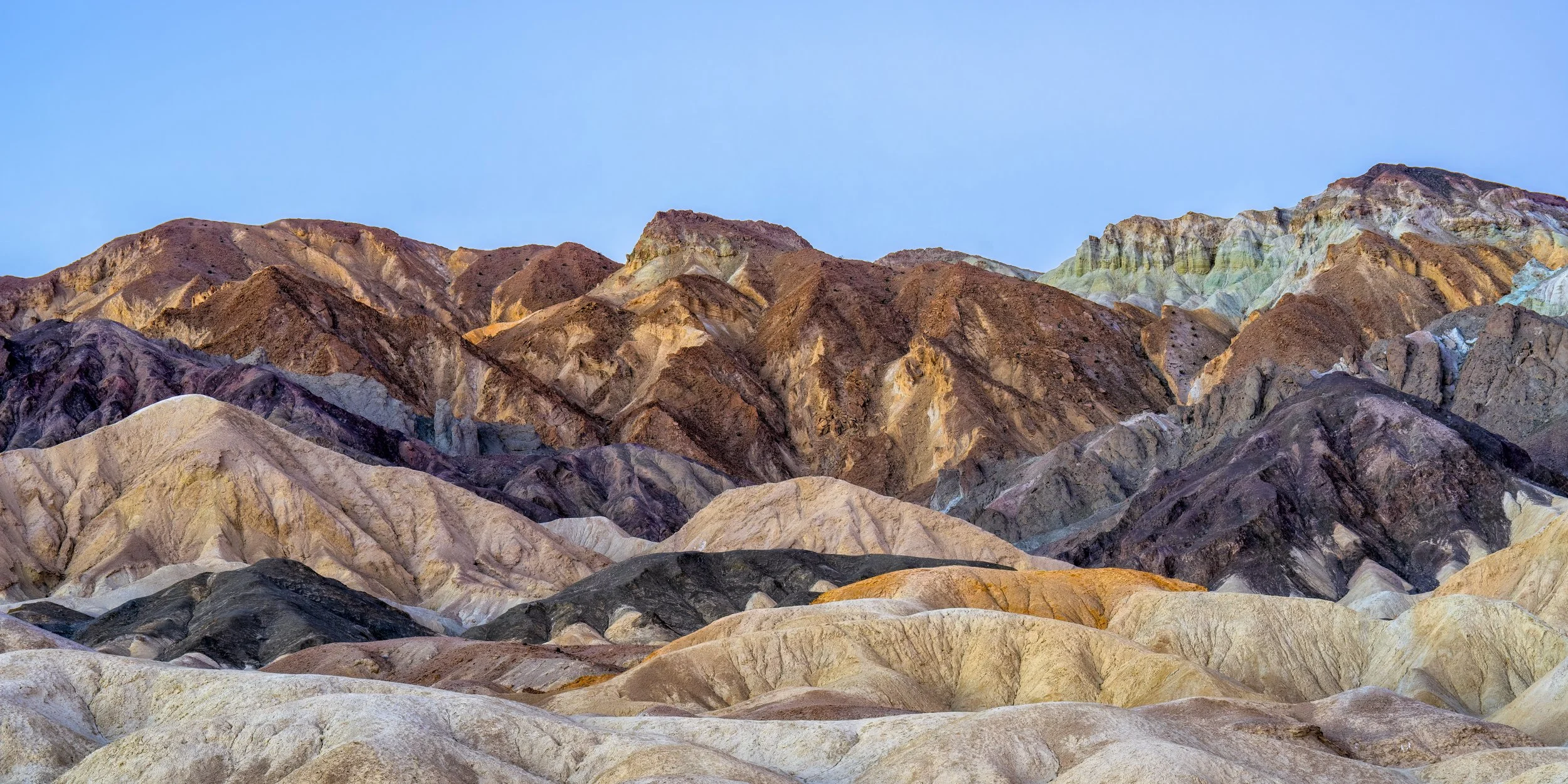 Cathedral of Color