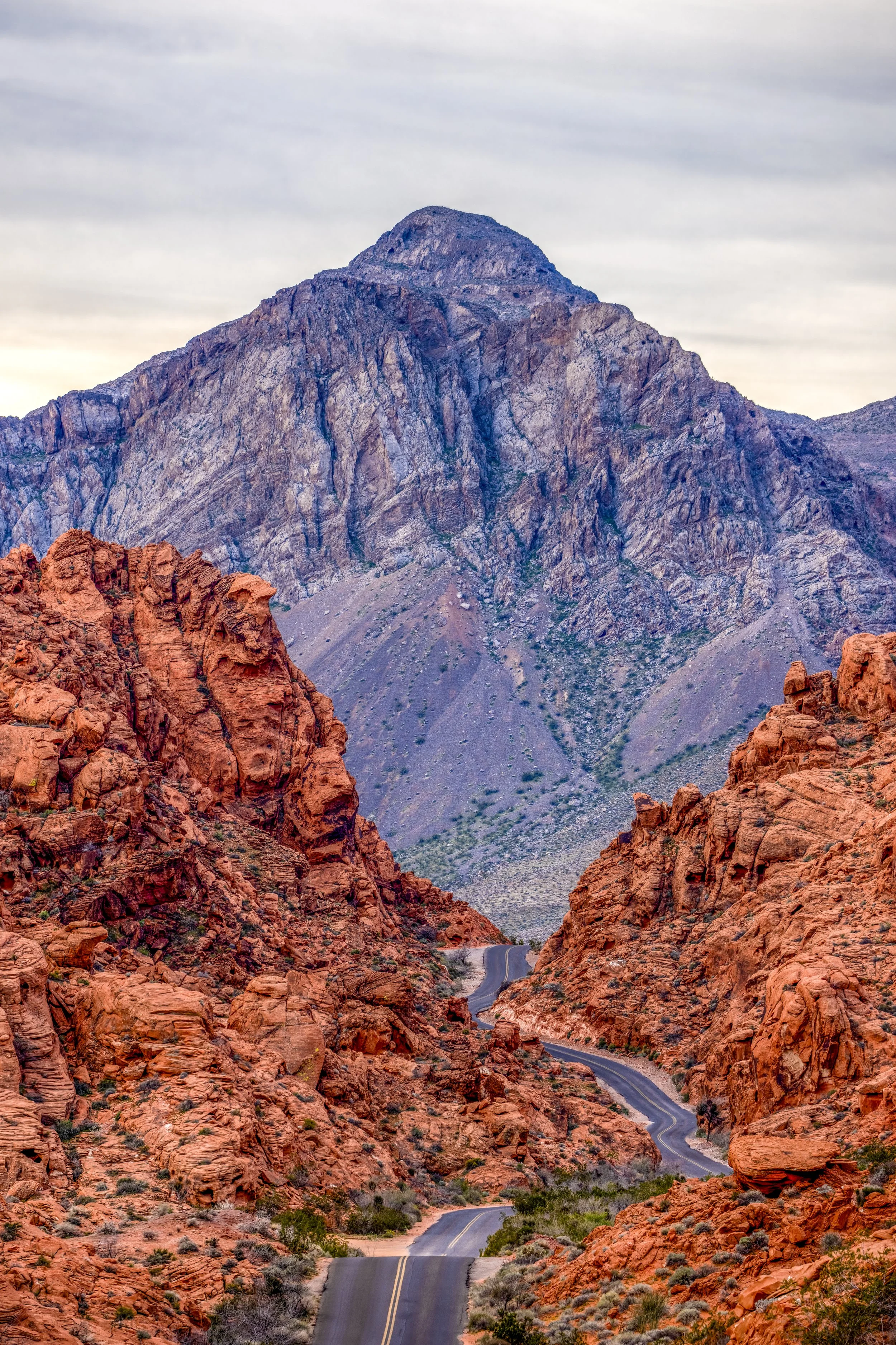 A1_00008_105_Helicon_B-Edit-Edit-Edit-Edit-gigapixel-low_res-height-21600px-Edit-Edit.jpg