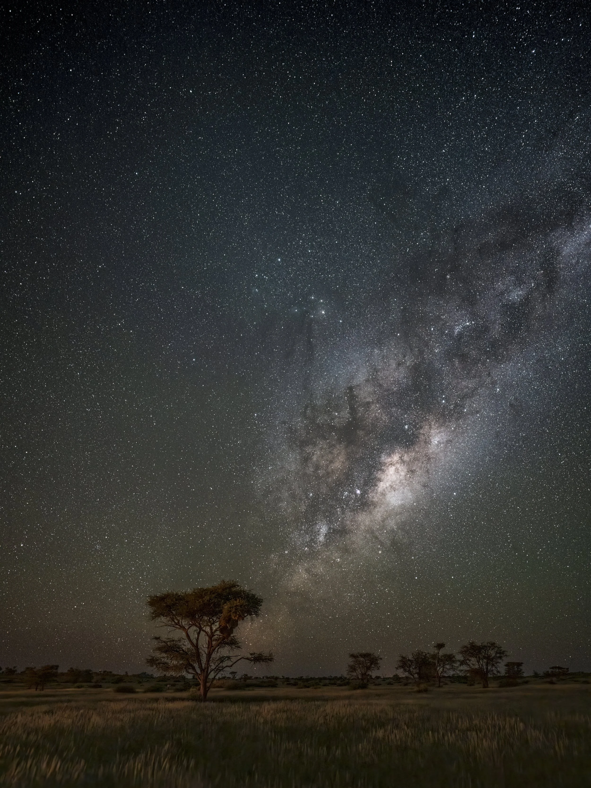 Namibian Nightfall