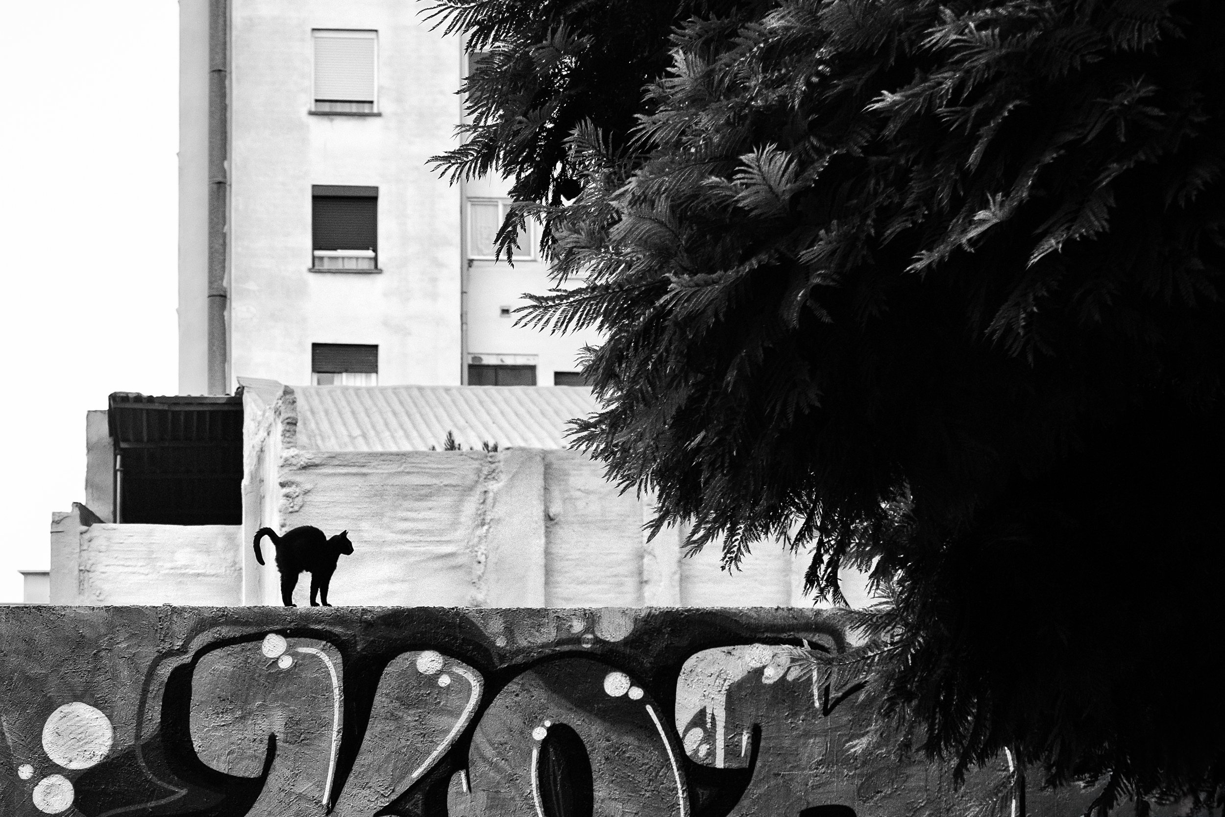 DSCF5635-Edit.jpg
