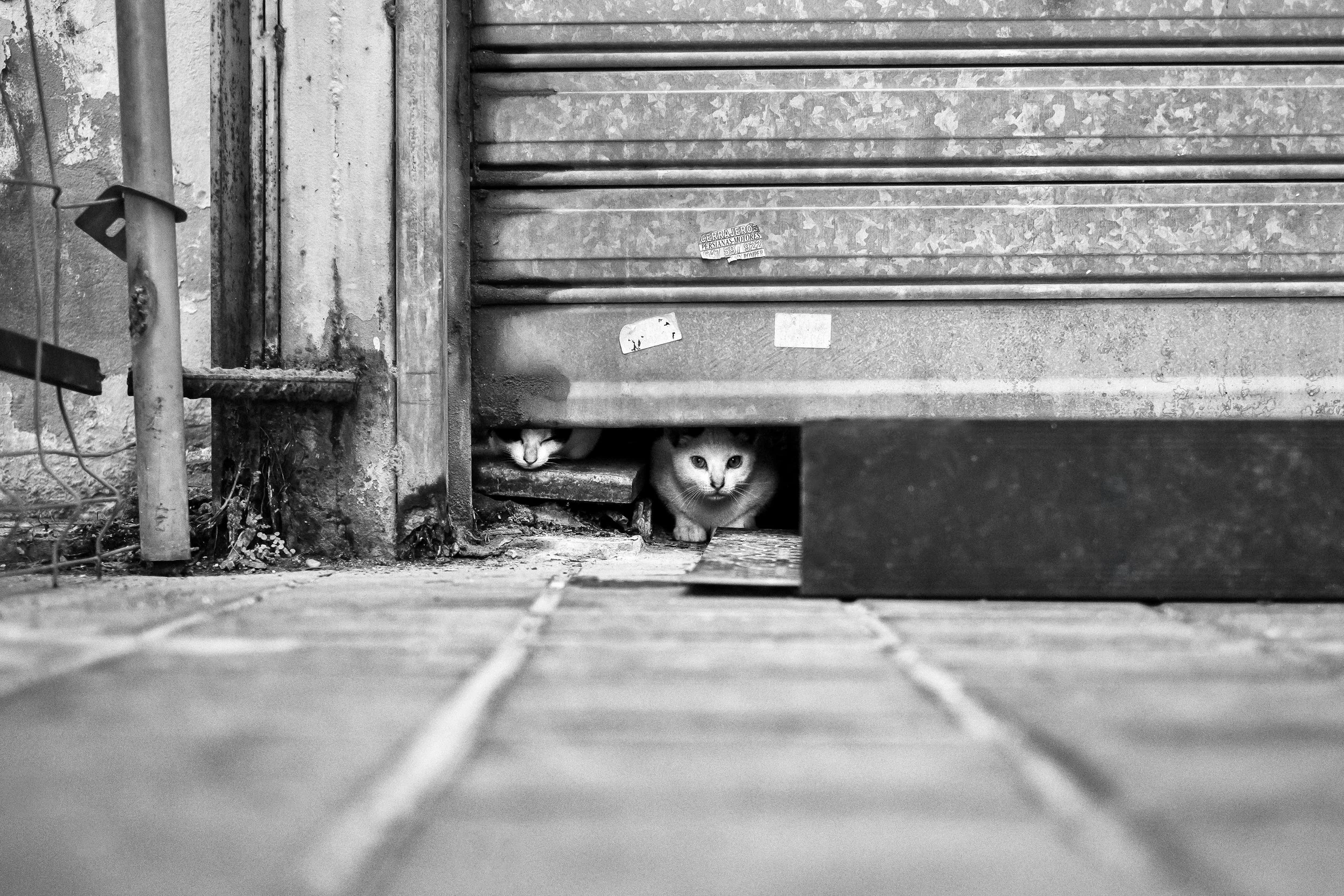 DSCF5392-Edit-Edit.jpg