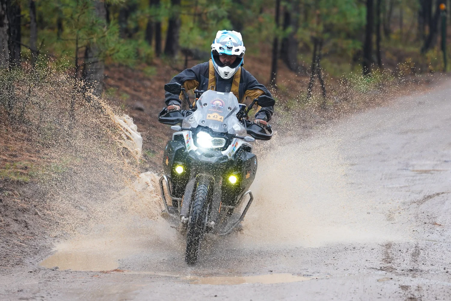 Competitor riding through standing water on a forest trail