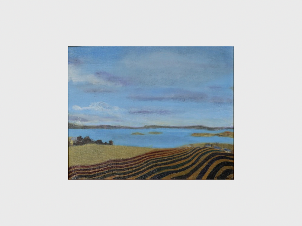 Winter lake view1.png