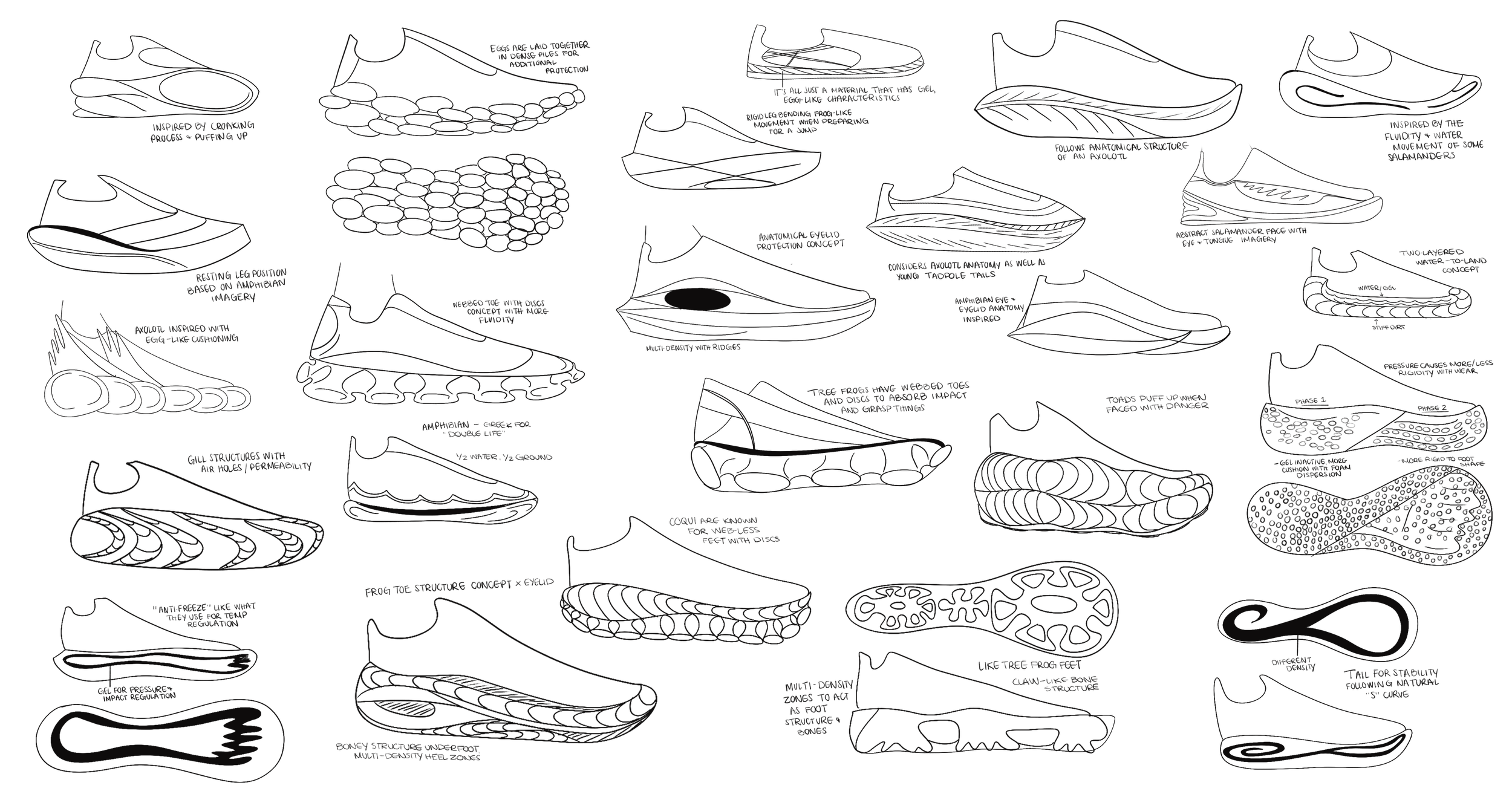biomimicry-sketches.png