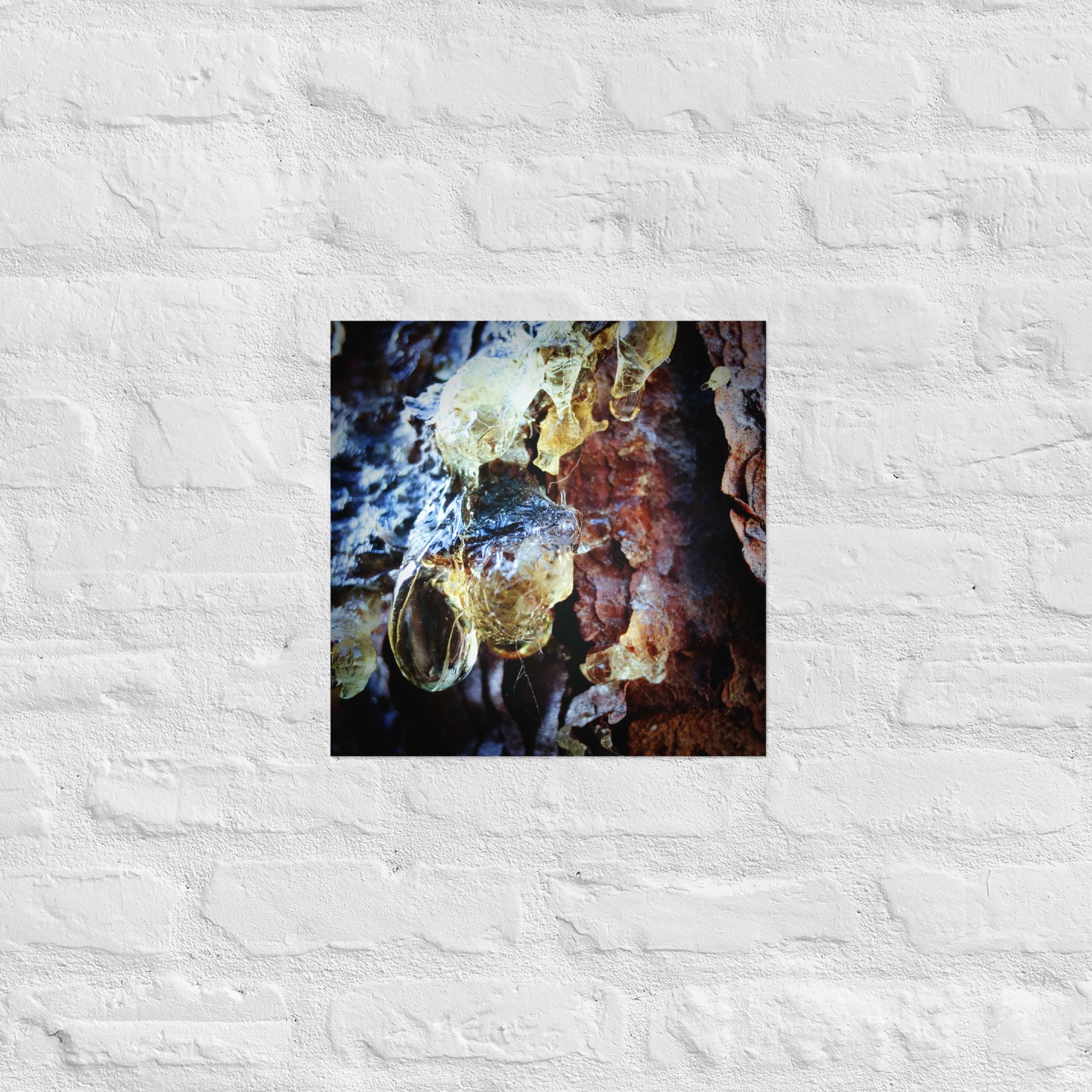 enhanced-matte-paper-poster-(in)-14x14-front-67f5576a4ace4.jpg