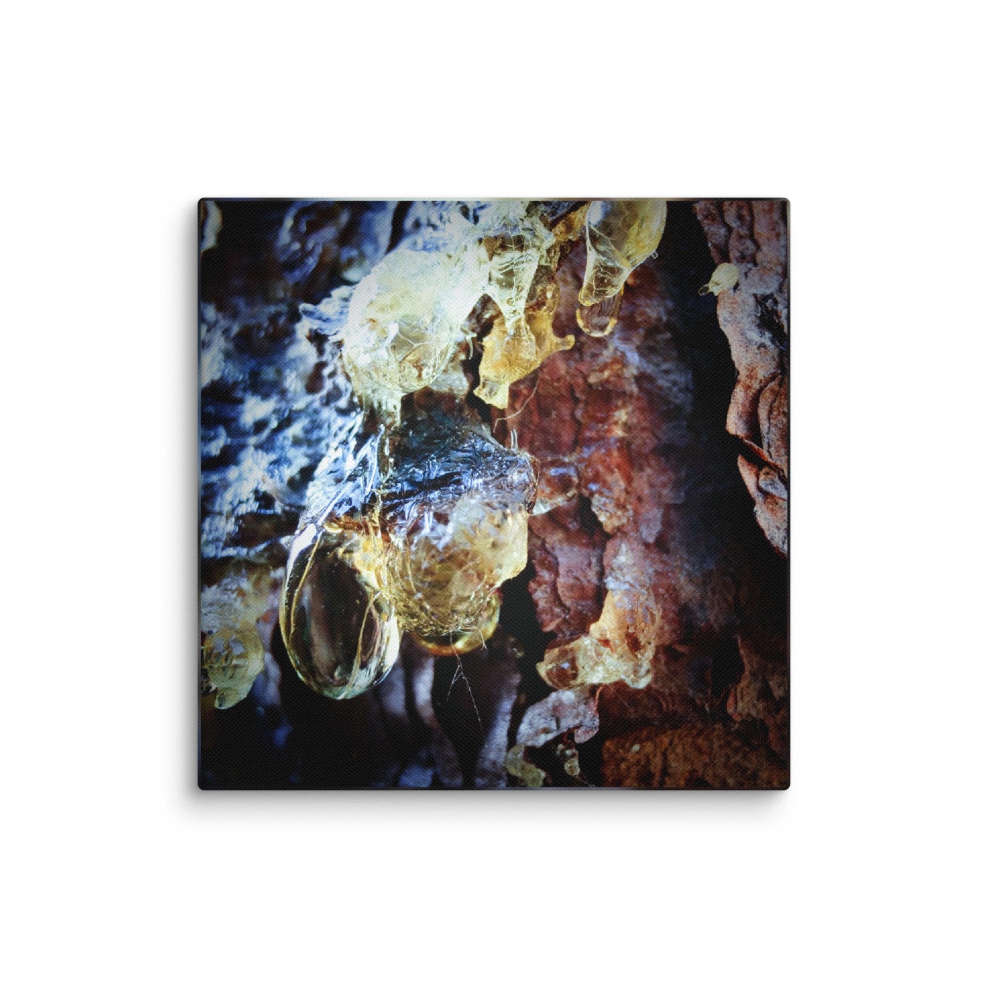 canvas-(in)-10x10-wall-67f55ab555b4c.jpg