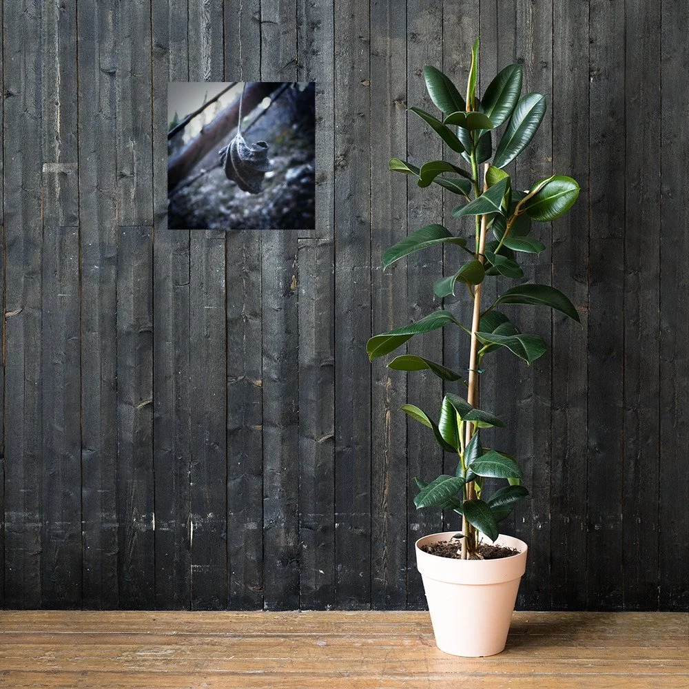 enhanced-matte-paper-poster-(in)-18x18-lifestyle-2-67f58ec18dd10.jpg