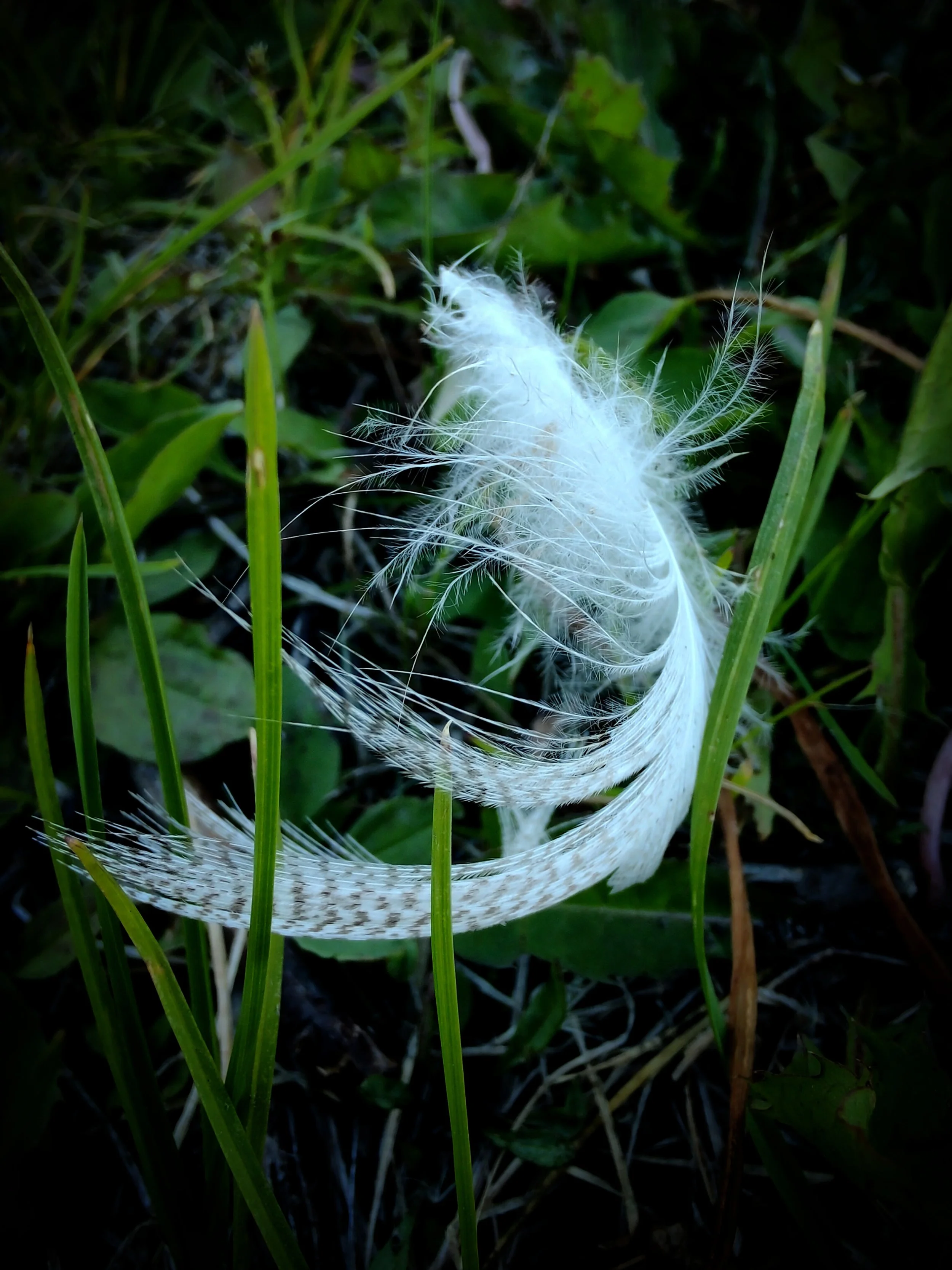 InShot_20260712_093410136.jpg