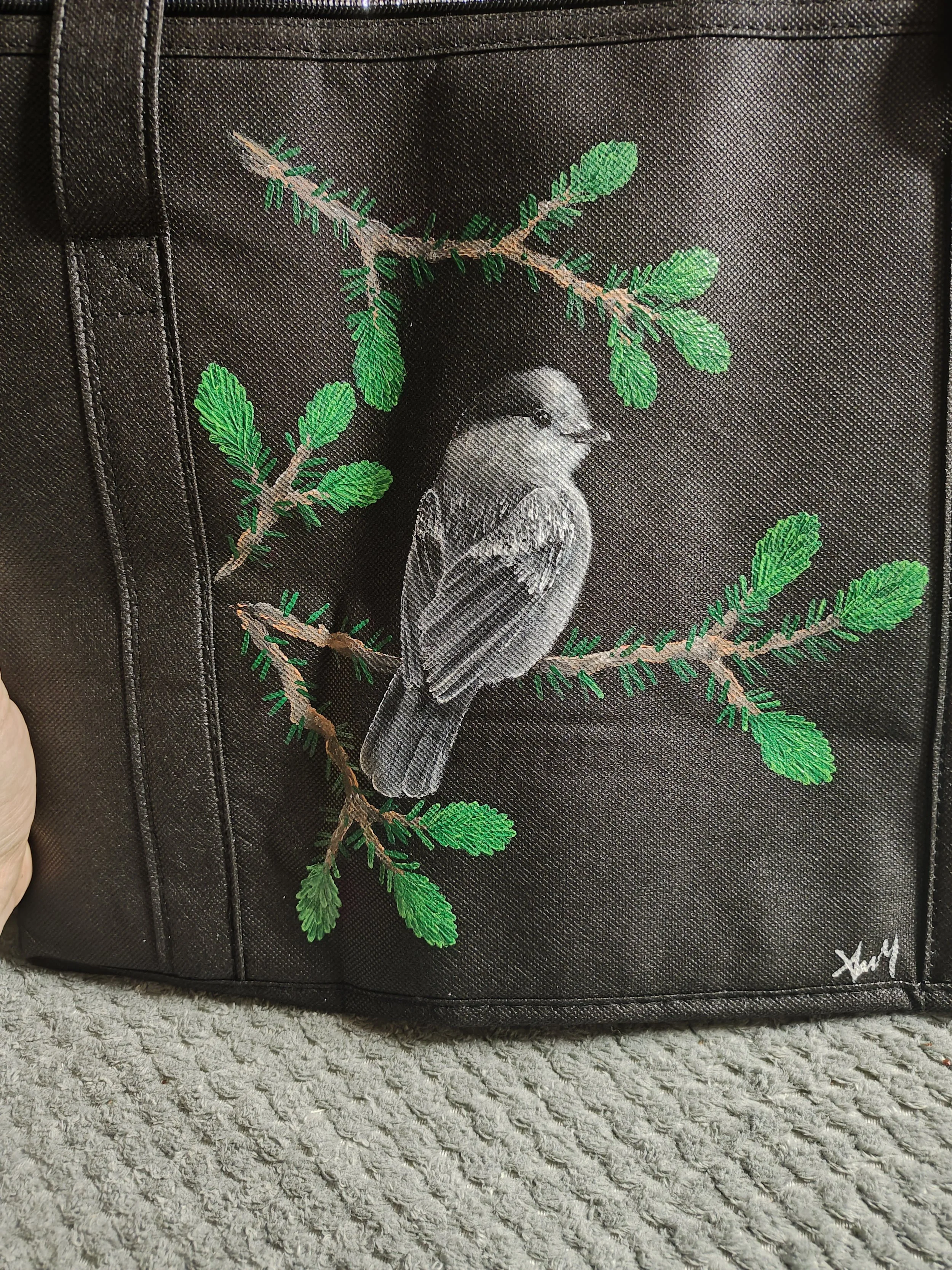 Gray Jay and Spruce Tips