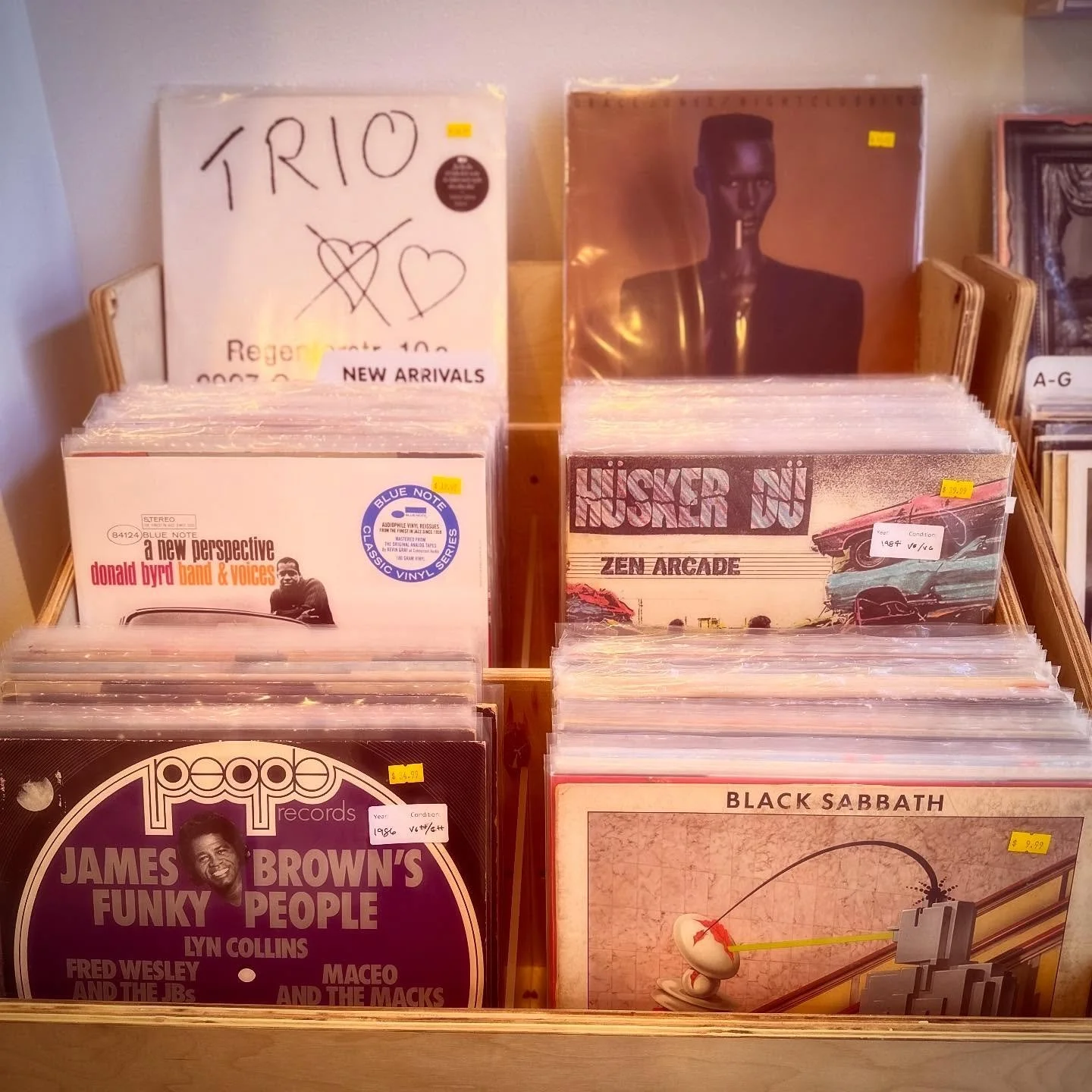 Rise and shine, the new arrivals bin is stocked and ready for you. 🌅