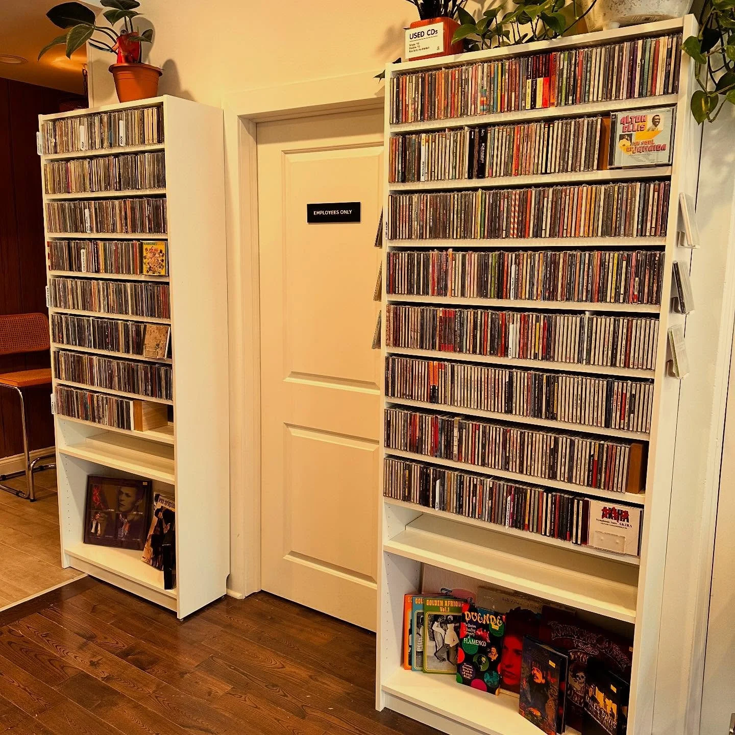 Our CD section is growing. Come on down!