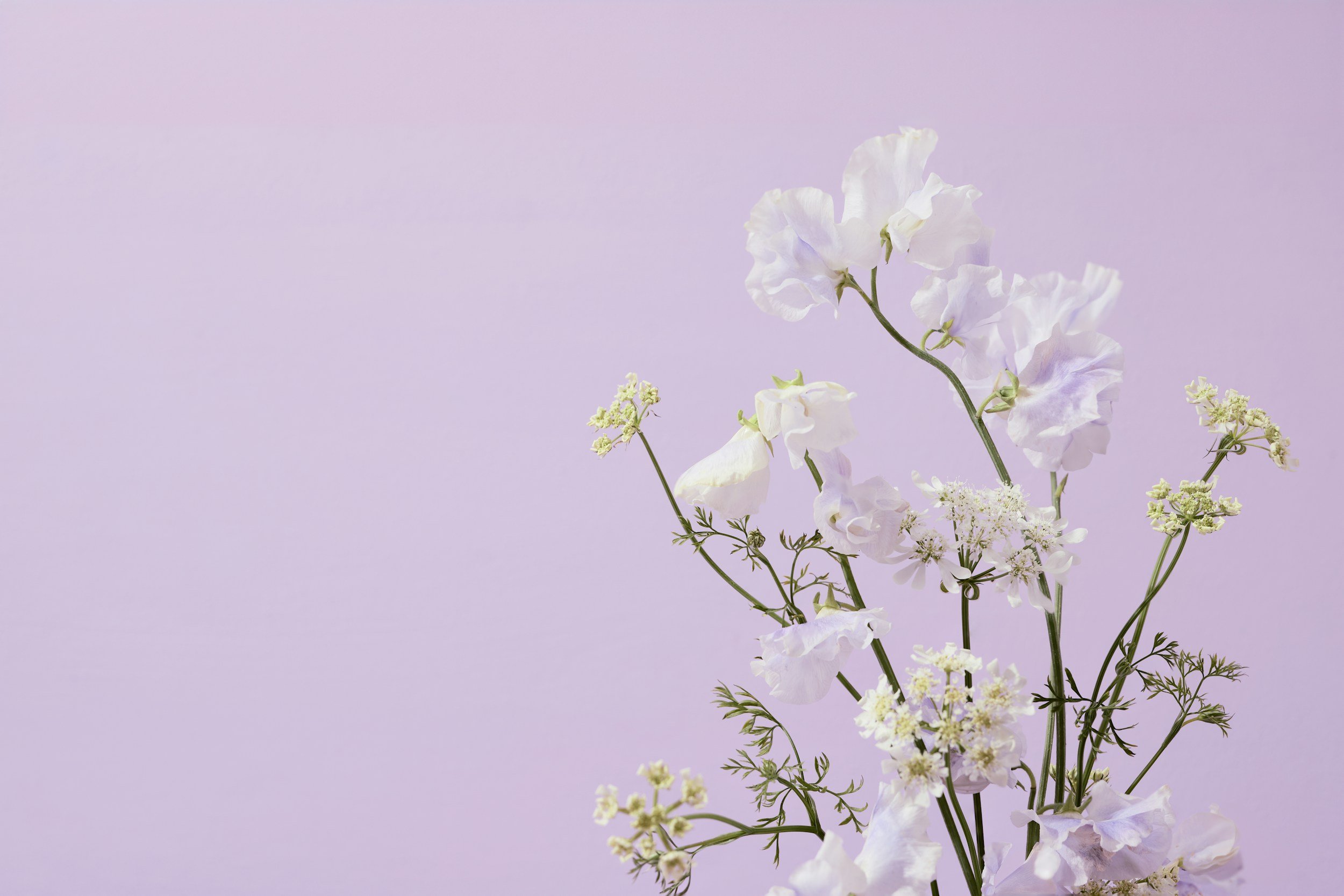 Hypnotherapist in Knoxville, TN - I offer compassionate listening and hypnosis support for individuals facing end-of-life transitions, as well as for loved ones seeking emotional support during this time.