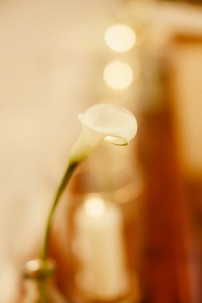 Michael Mann Photography_Breejette_Warren_Welcome_Dinner_0064.jpg