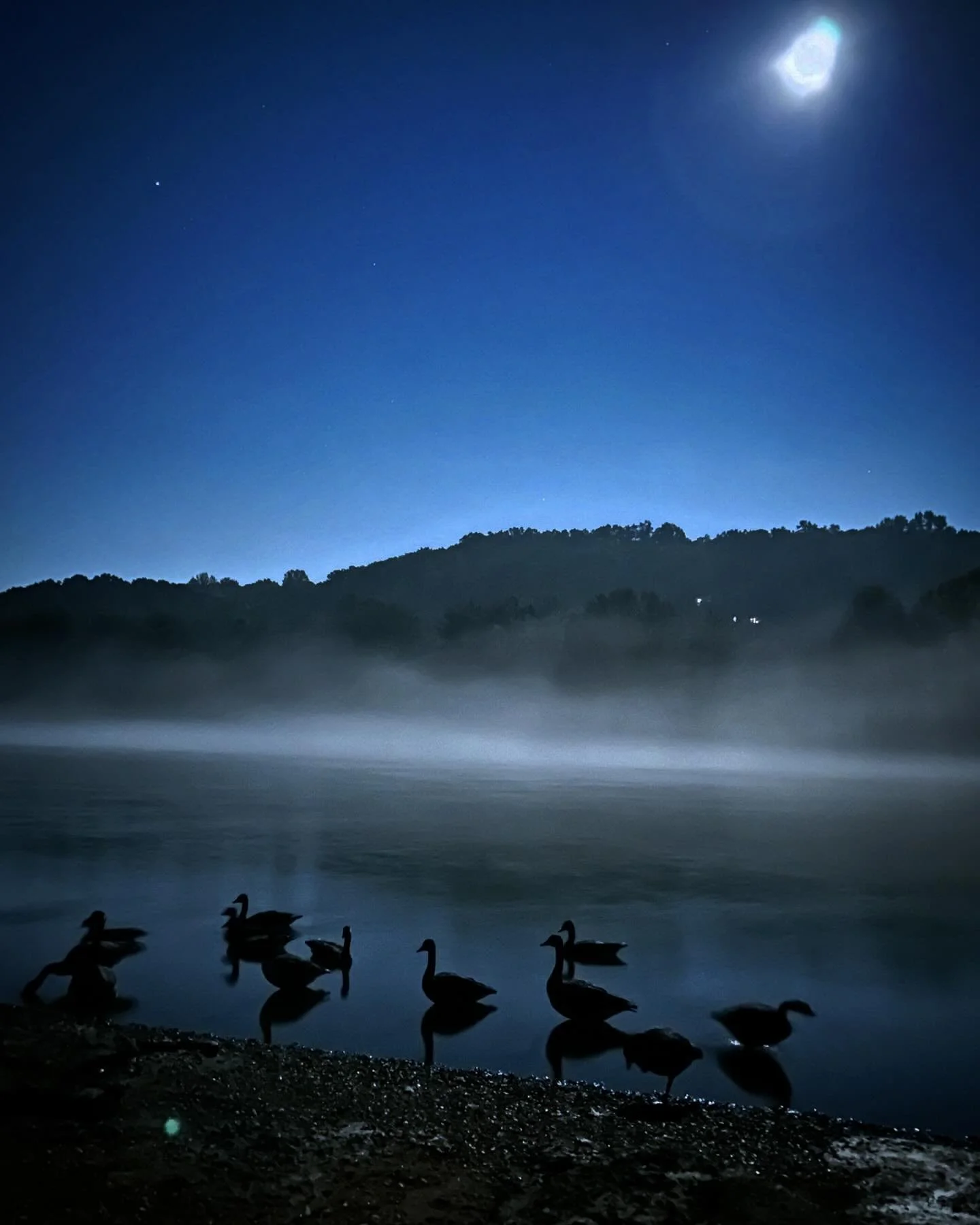 It takes being in the midst of the darkness for the light to shine the brightest 🌕✨

This picture was taken around midnight but the moon was so bright it looks like it was shining like the sun

#NaturePhotography #Outdoors #River #Moonlight