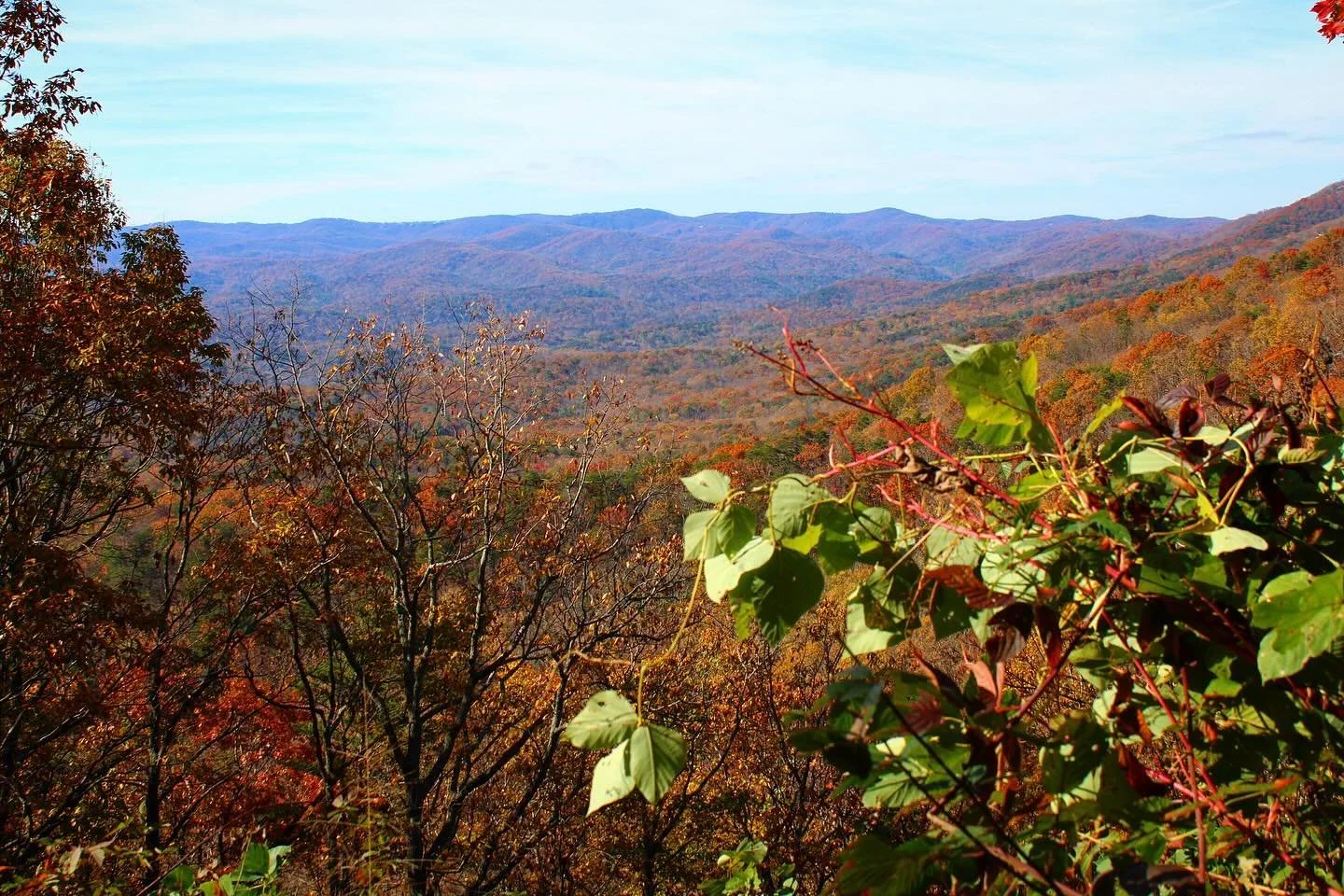 Fall in the North Georgia hills 🍂