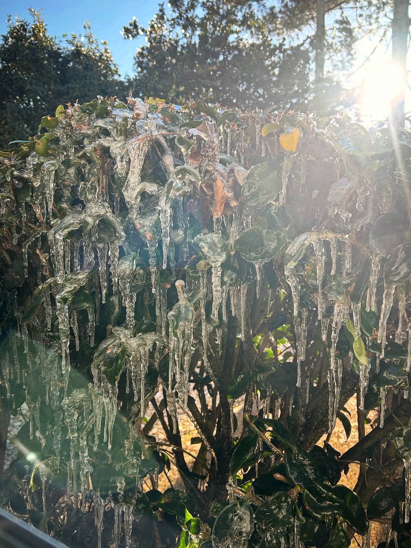 Moments Frozen In Time 🧊

Excuse the bad pun but sometimes it's cool to just slow down and observe the world around you. When ice isn't causing problems, it can be pretty interesting 

And at least this isn't a post about motorcycles 😅