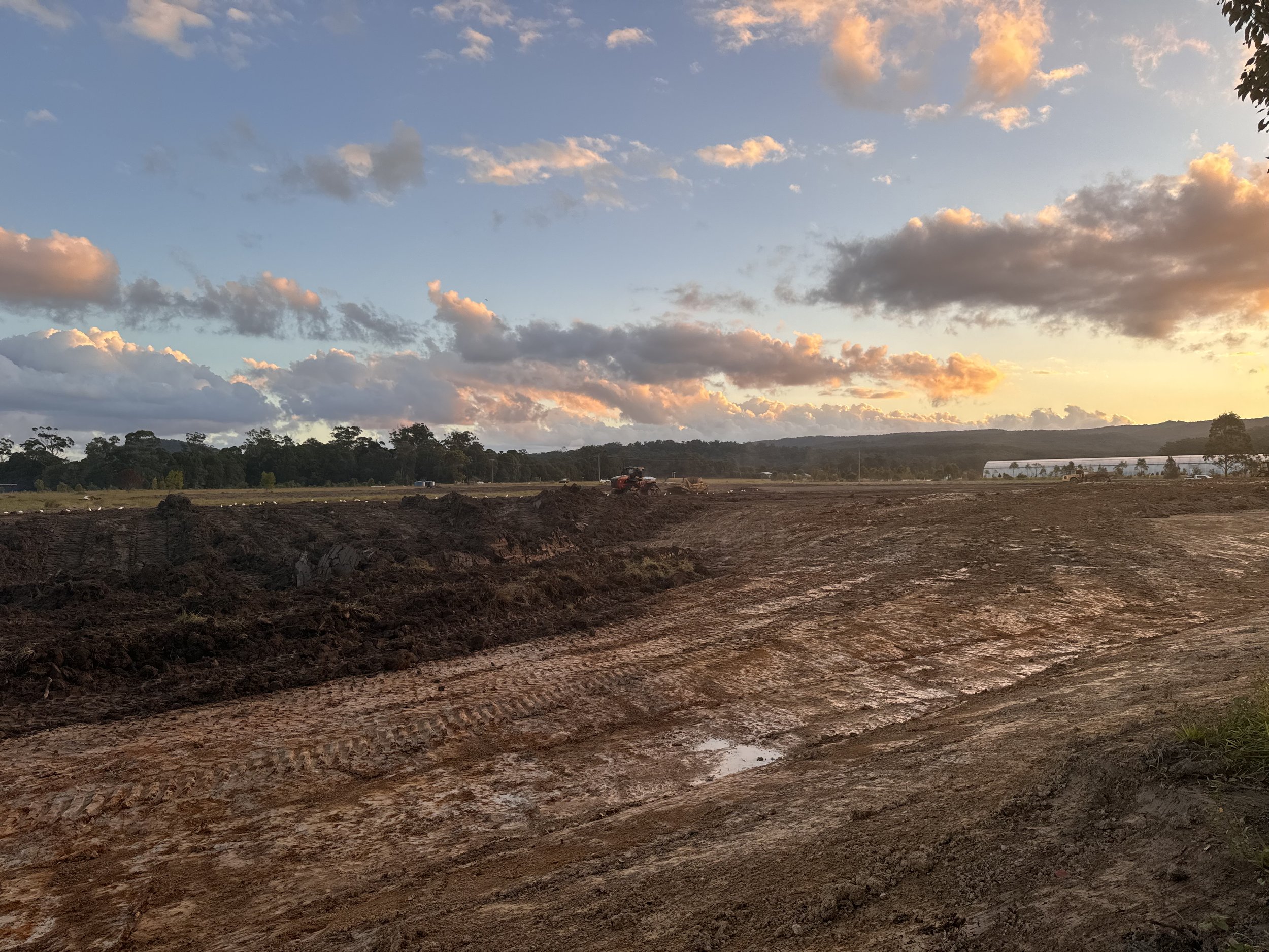 SunshineCoastEquineHospitalVeterinaryBridgesQLD Earthworks .jpeg