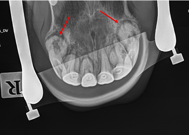 Newsletter - March ‘26