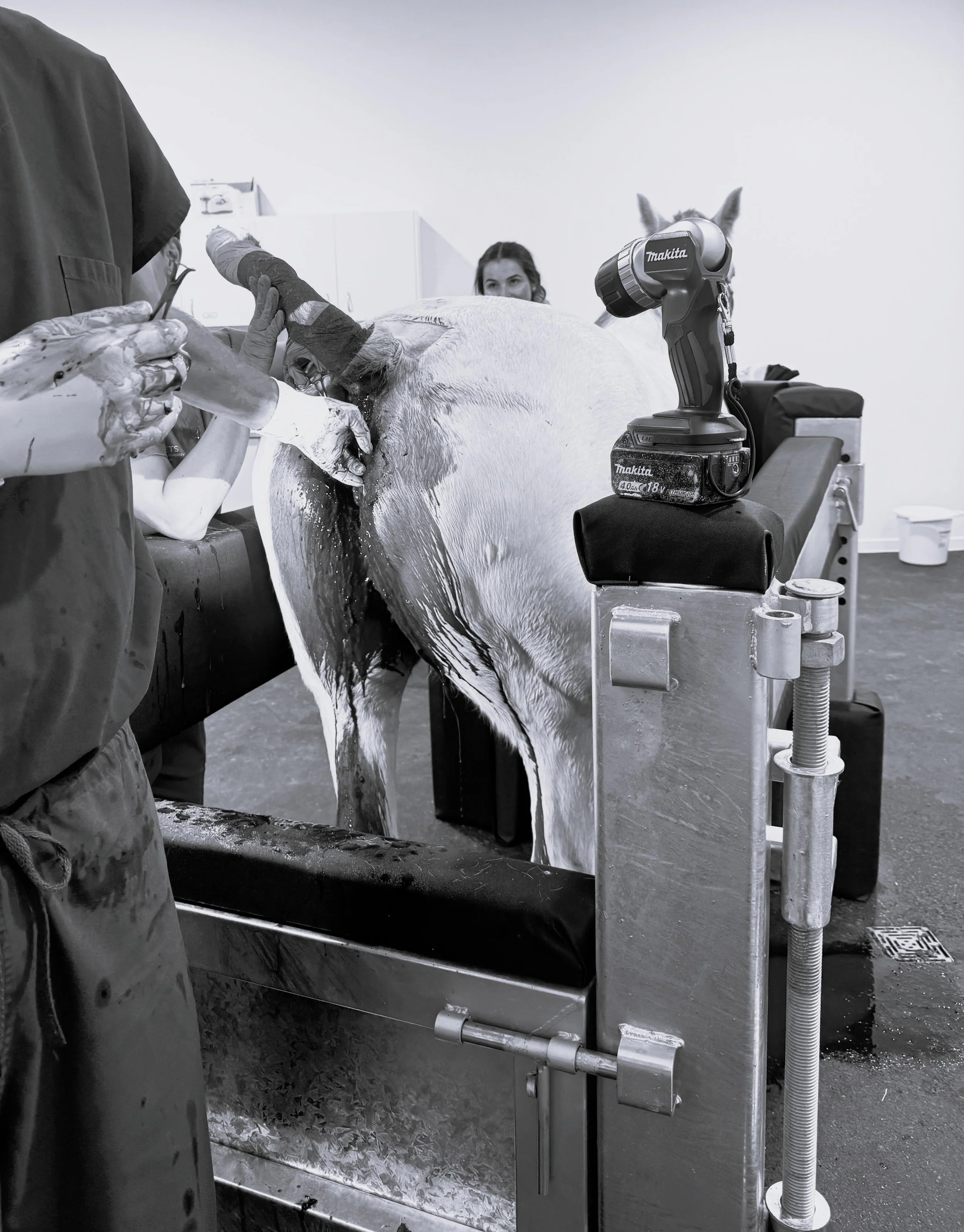 Picture of standing surgery to remove rectal melanoma