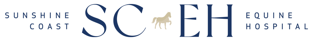 Sunshine Coast Equine Hospital