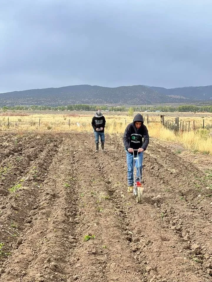 Two people working in a farm field during overcast weather. One is using a manual tiller to prepare the soil, and the other is standing behind, possibly checking a device or taking notes. The field has neat rows of freshly tilled soil, with mountains