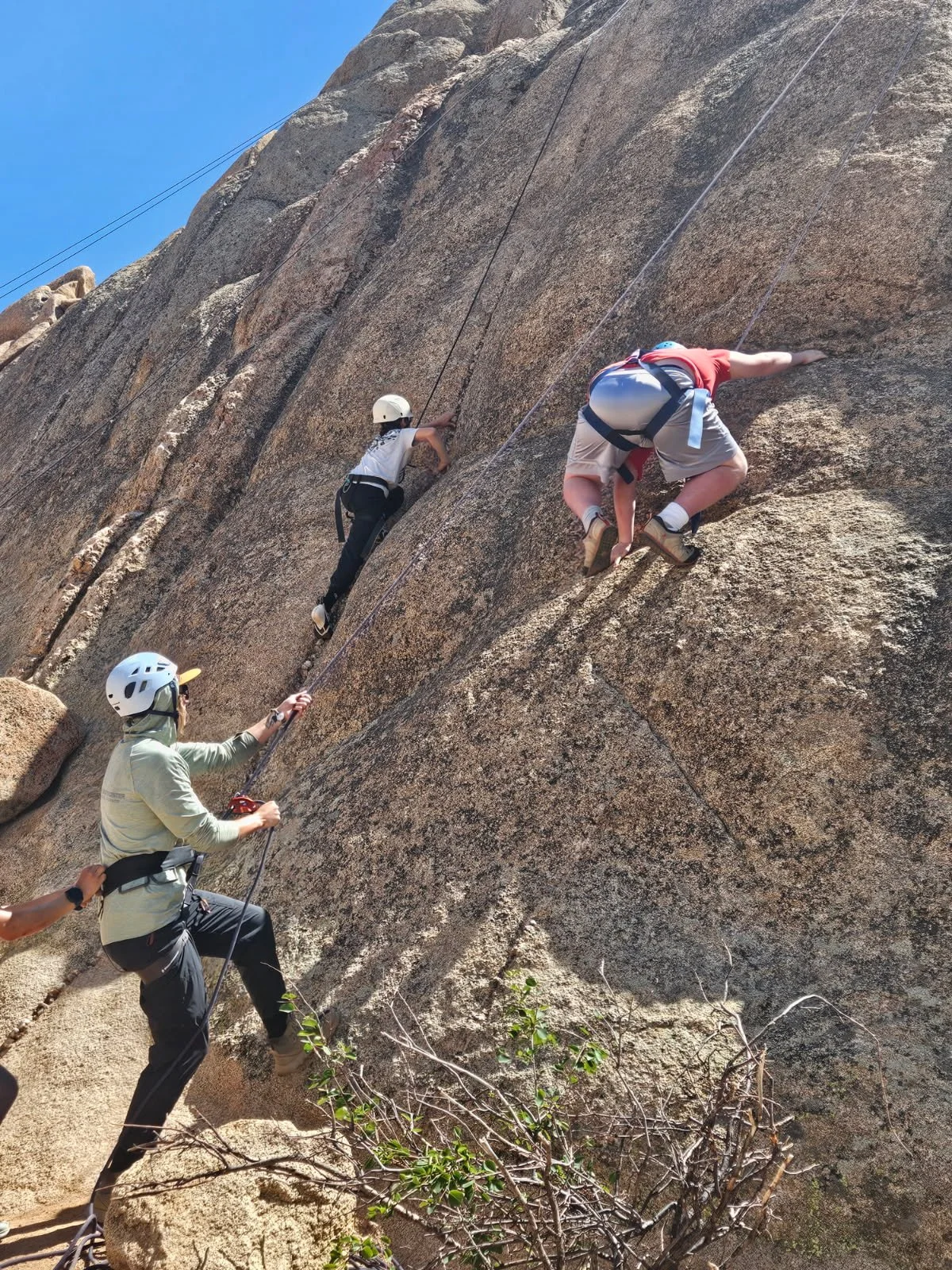 Two children climbing a steep rock face with safety harnesses and helmets, supervised by an adult. The scene is outdoors under clear blue sky.