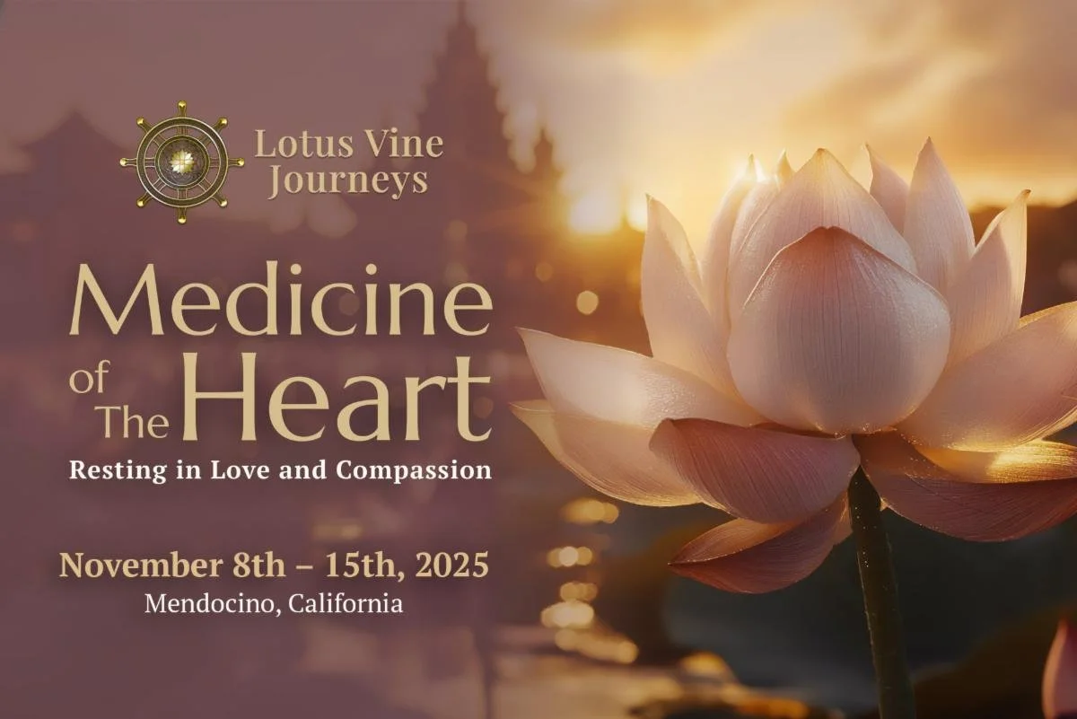 Medicine of the Heart: Resting in Love and Compassion