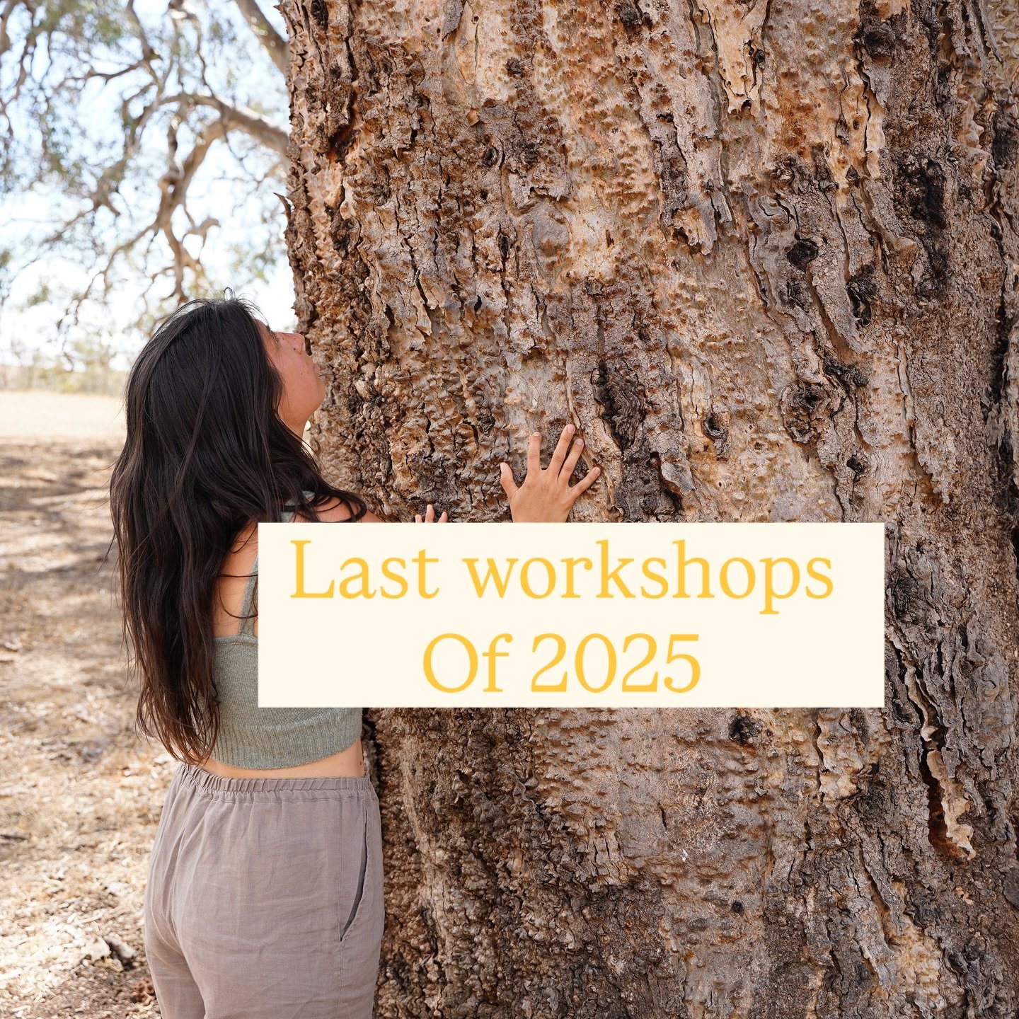 Busy mind? 
Step into the forest to rest.

I am guiding nature-based experiences in the Adelaide Hills:

🌿 Forest Bathing in the Kuitpo
&bull; Sunday 23 November
&bull; Sunday 14 December

🪷 Ecotherapy + Yoga in Mount Barker
&bull; Sunday 7 Decembe