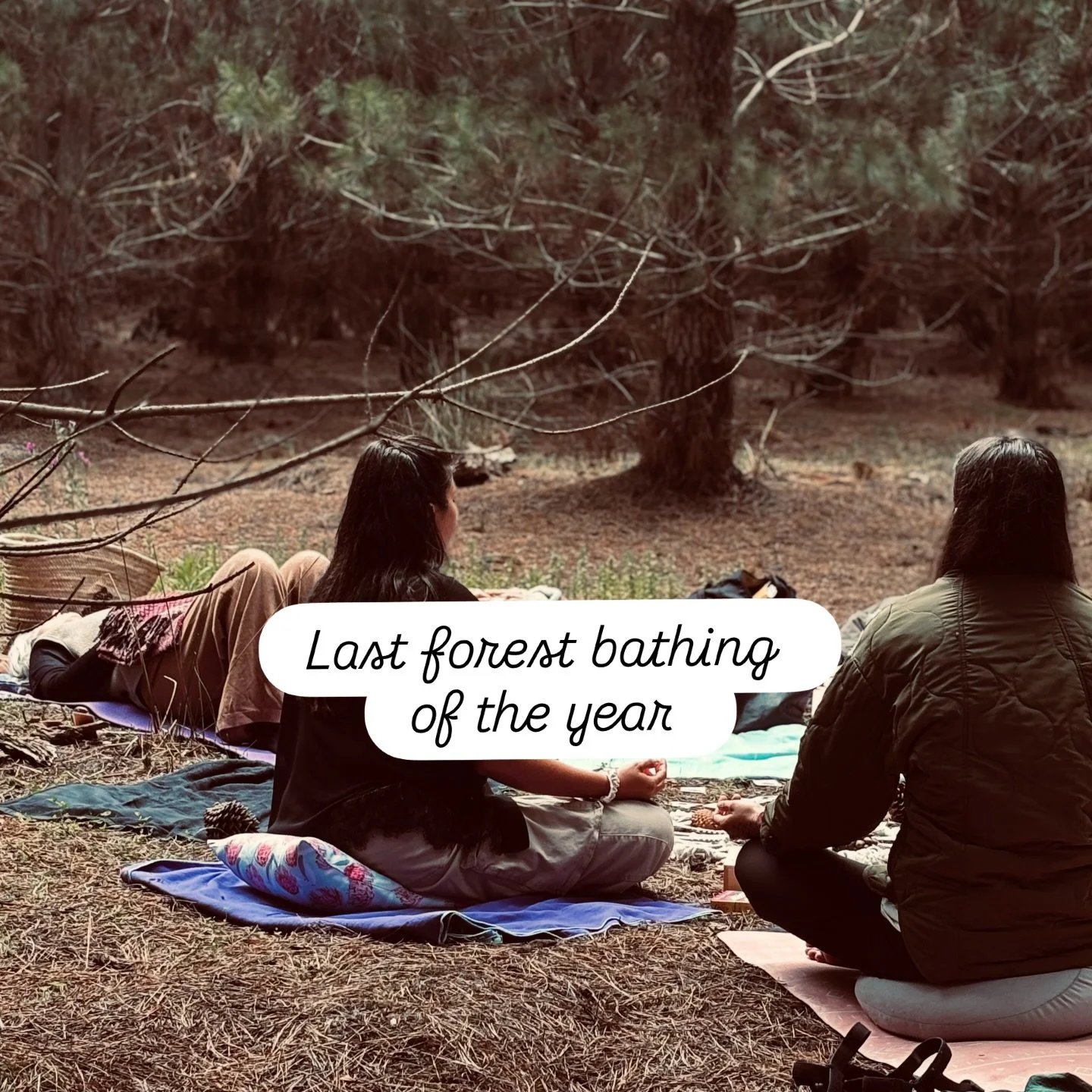Gentle breeze.
Soft rays of sunshine between the trees.
Slow breaths, quiet moments, raw shares.

A few glimpses from our last forest bathing of the year where presence, connection, and calmness reigned.

Stay tuned. 
More to come 🌿

#slow #forestba