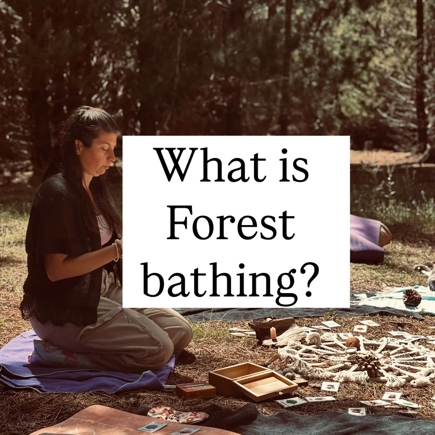 WHAT IS FOREST BATHING? 

Visit my website at Sarahfrustietherapy.com in the &laquo;&nbsp;Forest Bathing&nbsp;&raquo; and &laquo;&nbsp;Offerings&nbsp;&raquo; tabs for more information. 

I&rsquo;m also available via email at Sarahfrustietherapy@gmail