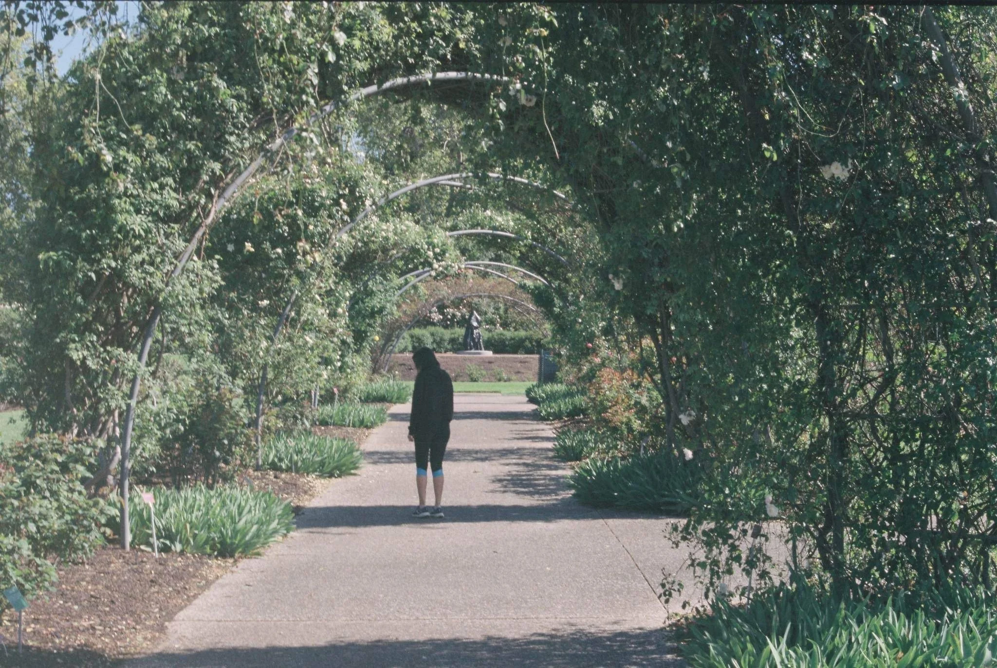 #23 - "Doing Nothing"