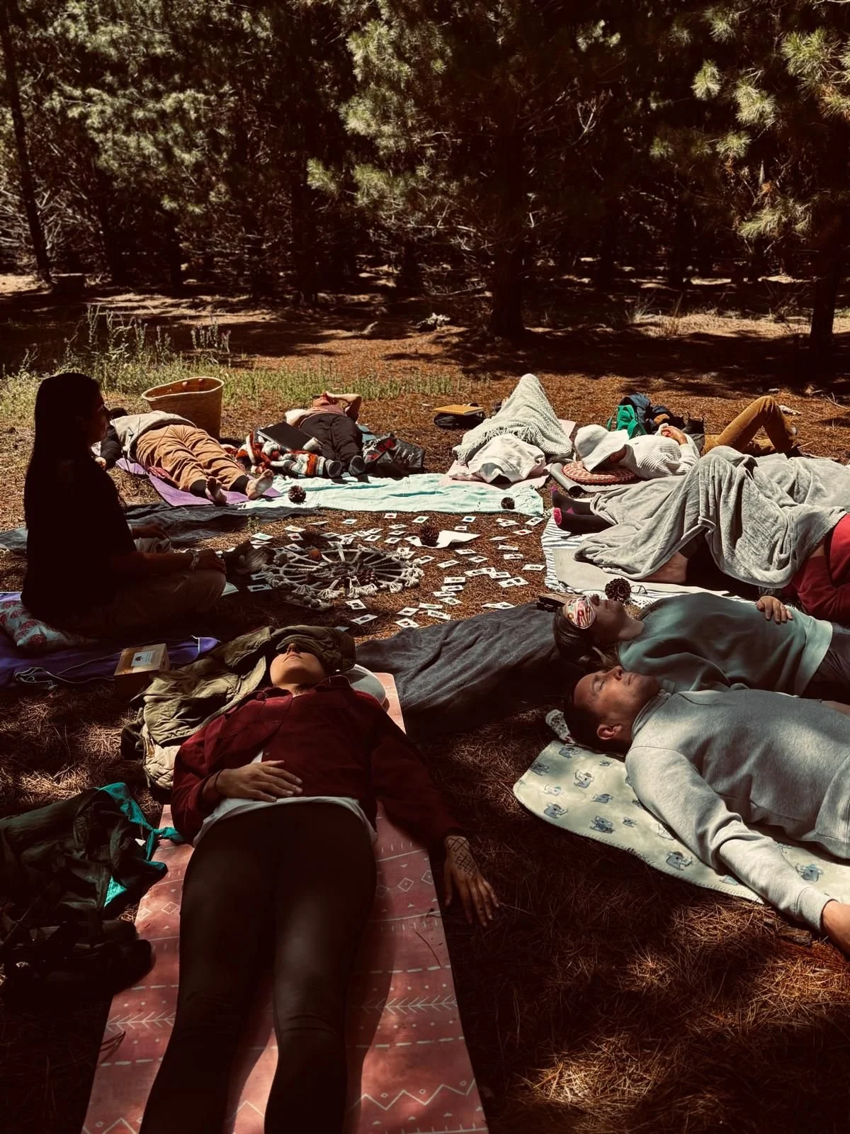 #25 - Ecotherapy: A Return Home.