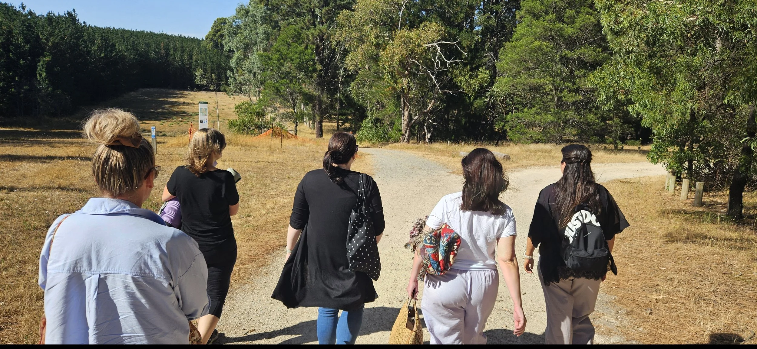 #28 - Forest Bathing: What It Is, What to Expect, and Why It Matters in a Busy World.&nbsp;