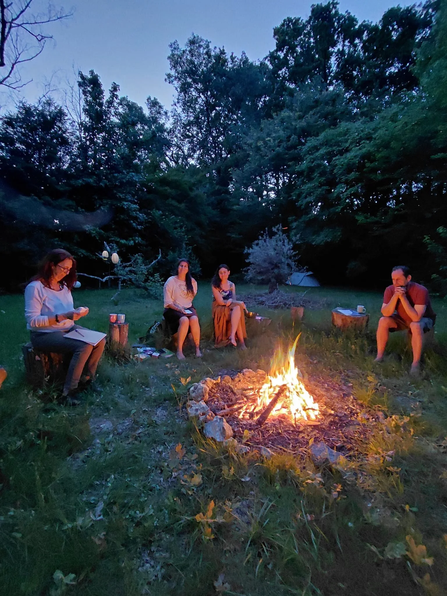 #29 - Outdoor Counselling: What It Is, What to Expect, and Who It's For