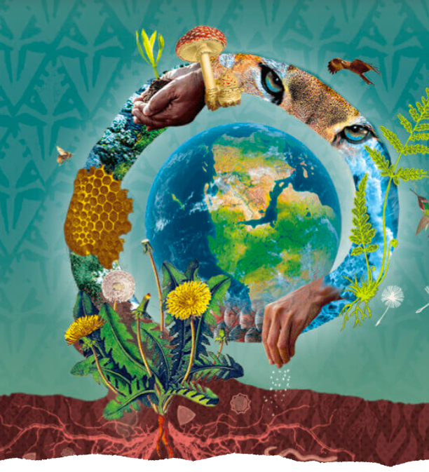 #31 - The Work That Reconnects: A Path Back to the Earth