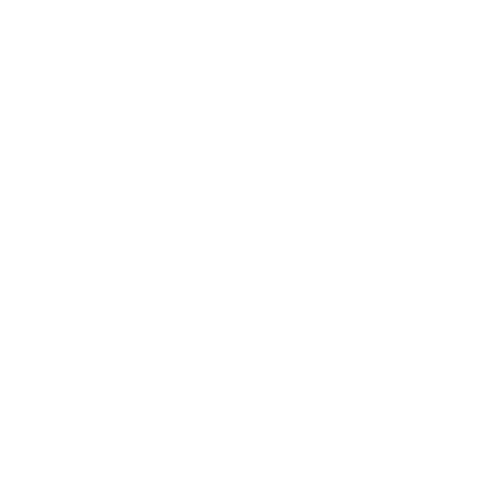 Brown Eye Bandits - Logo - Transparent White.png