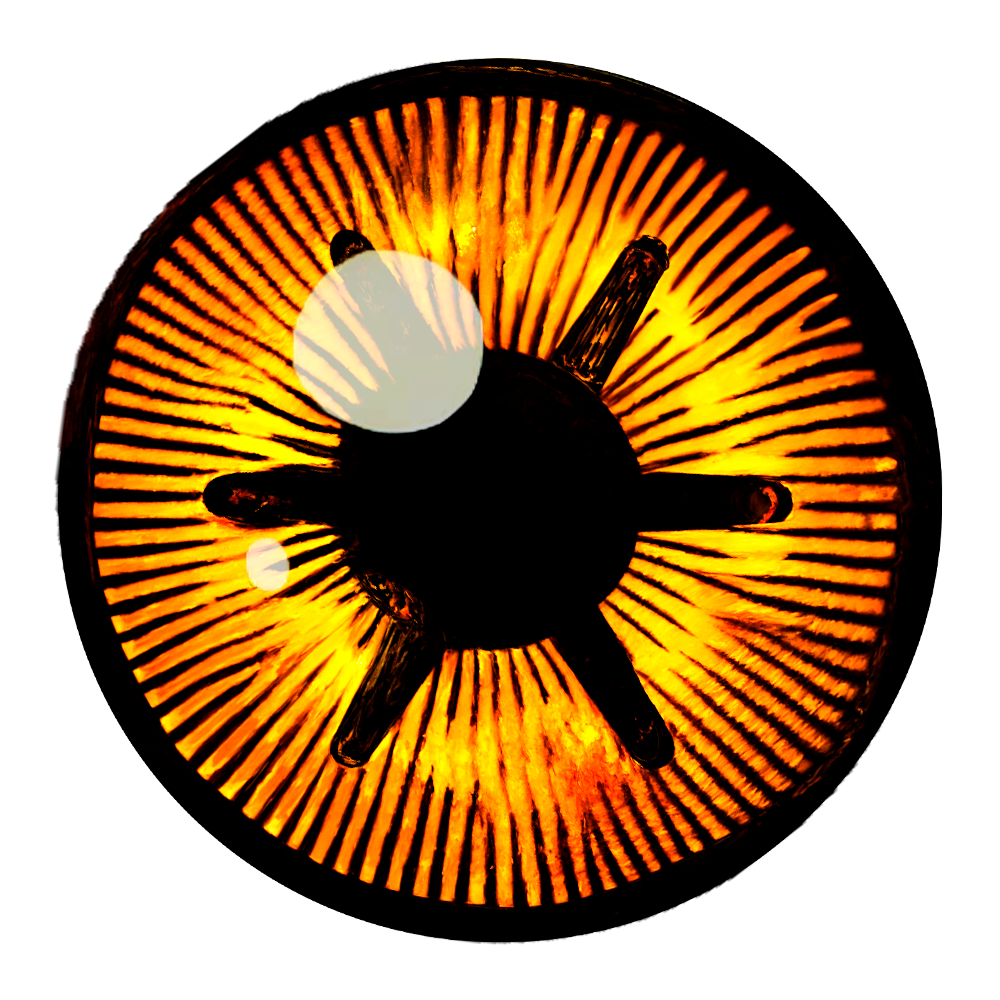 Brown Eye Bandits - Logo.png