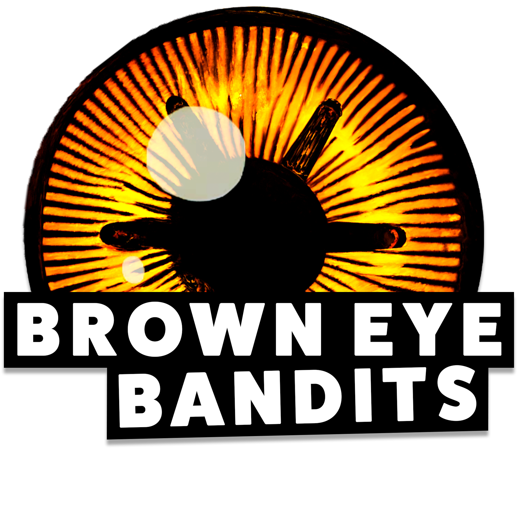 Brown Eye Bandits Logo.png