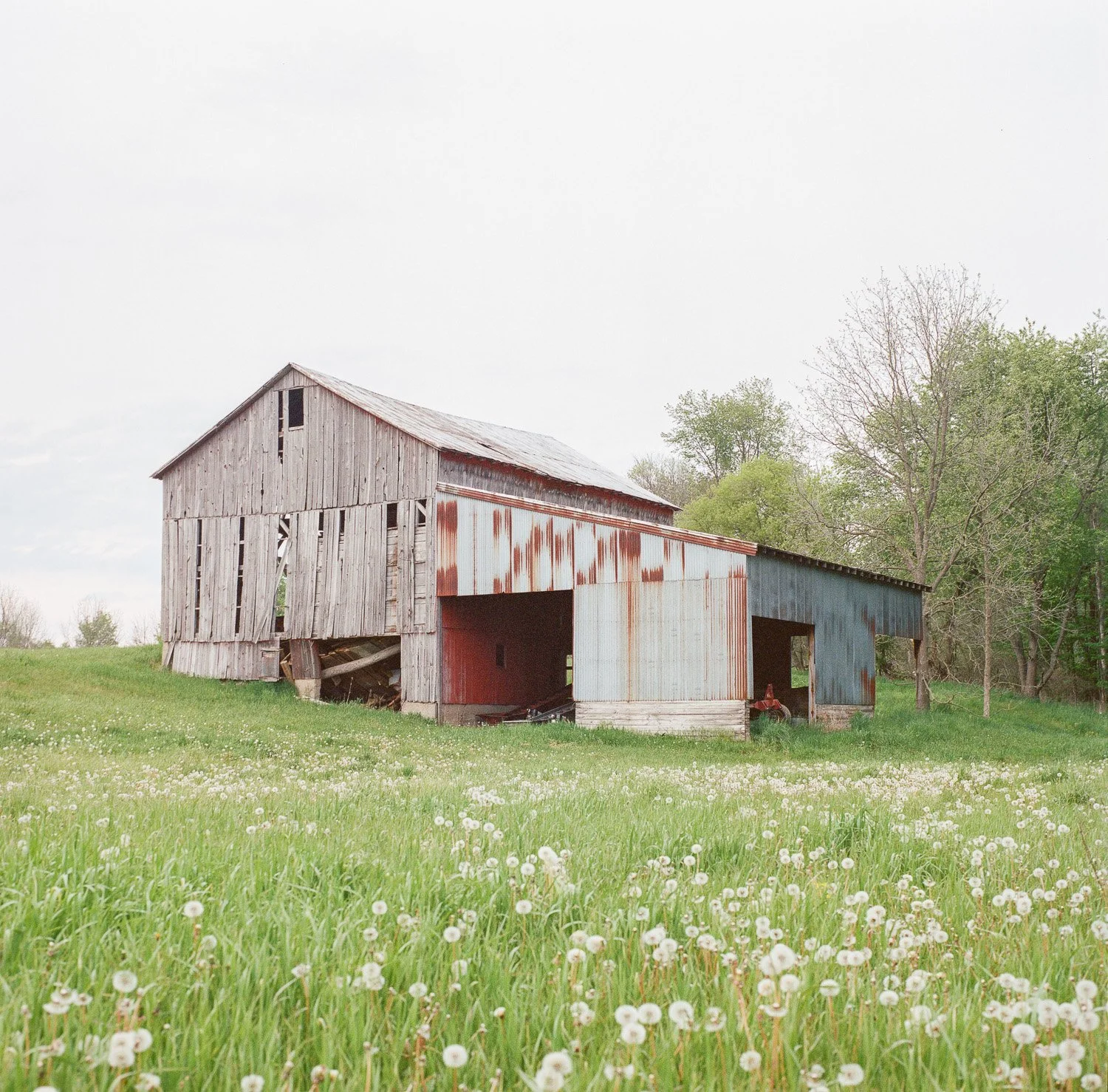 INDIANA BARN -WEB.JPG
