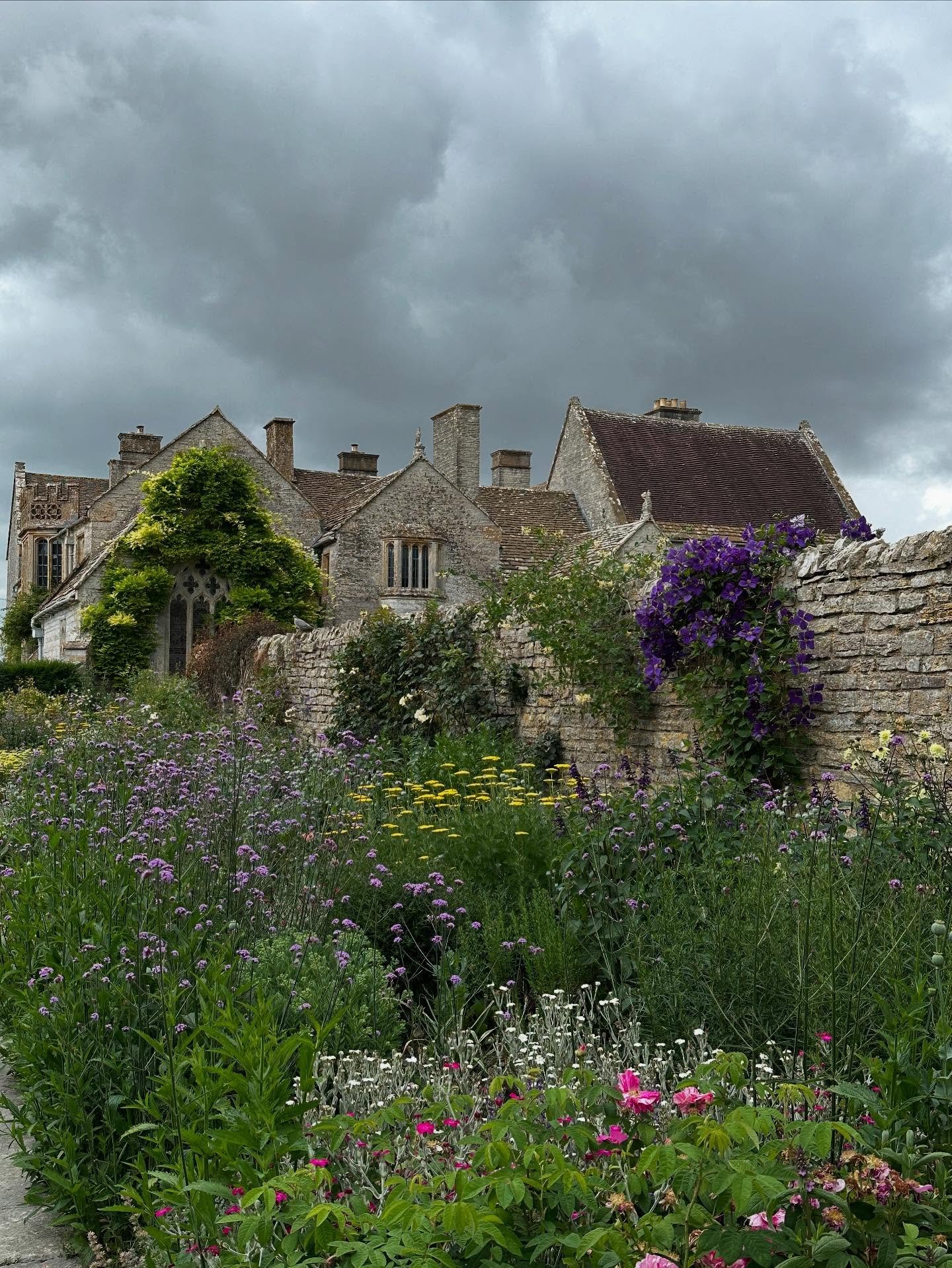 Lunch time walk at my local national trust property. The trust (in my mind) made a super wonderful decision this year to allow dogs on leads into their gardens&hellip;.. this has meant my ability to visit has dramatically increased - I often don&rsqu