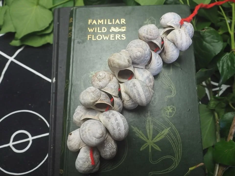 In cornish folk lore, snails are considered to be lucky (before or after they&rsquo;ve munched on all your veggies I&rsquo;m not sure). There&rsquo;s an incredible snail shell charm in the museum of witchcraft in Boscastle a which must have taken man