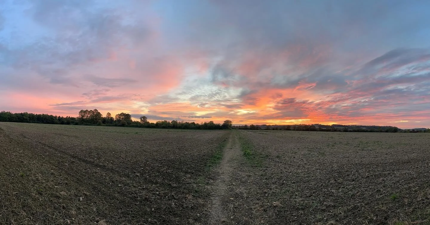 Last nights dog walk ended with one of the most stunning sunsets I&rsquo;ve seen in a while, the colour rushing in fast and fading away just as quickly as we walked across the field. It was a joy, especially since it seems that the swallows and house