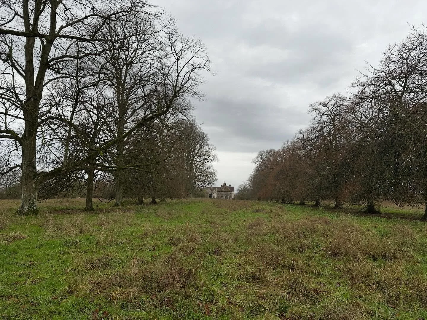 The hound requires daily walks&hellip; which means I get daily walks&hellip;. Which means part of my daily practice is daily walks&hellip;. The hound is a creature of habit and prefers the same walk most days (he gets to choose) and I&rsquo;ve made i