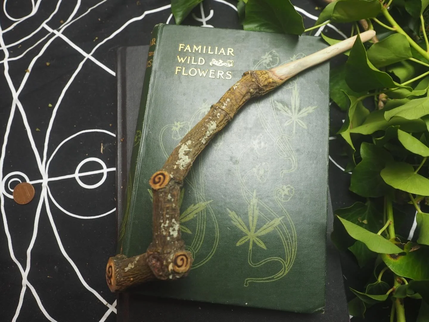 Raven&rsquo;s gift guide day: mistletoe! I&rsquo;ve got wands, pendants and ornaments! I find my mistletoe in the winter when storms bring it down from its trees, this year most of this was grown on apple wood in the orchards around Glastonbury.