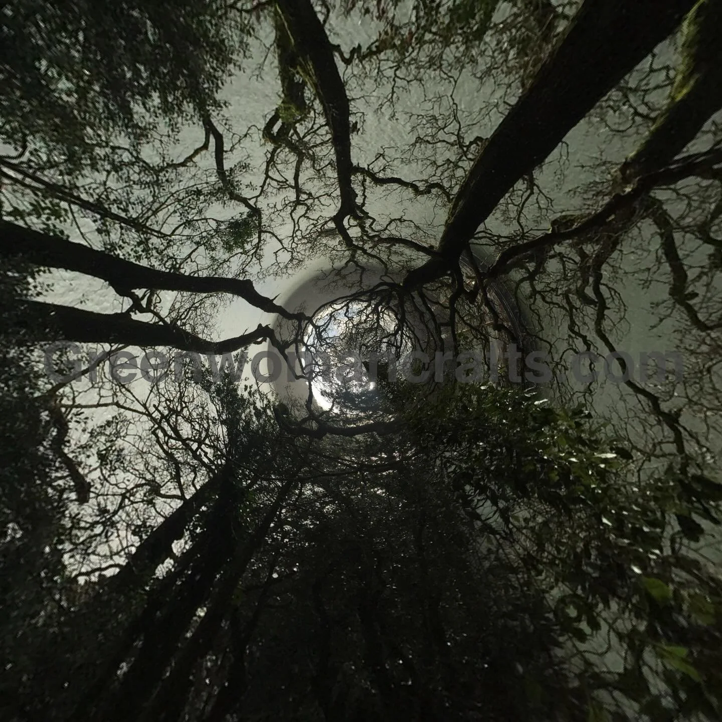 Raven&rsquo;s gift guide day 10: all the things&hellip;. Really we&rsquo;ve run out of time for posting! Uk folk you would be ok if you use special delivery! Otherwise your options are to buy something wonderful and print out a picture and tell your 