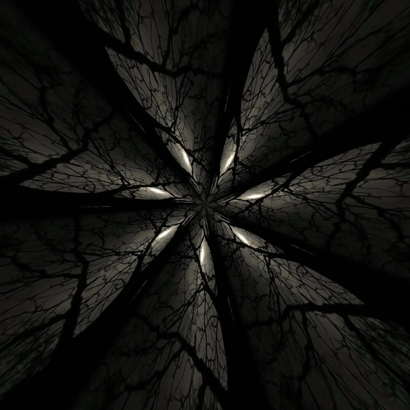 Welcome Yule!  Hail the Returning Sun! The longest night has past, and today is the shortest day..... it will not be getting any darker.... The image is from a photo I took a few solstices ago when the hound still demanded 2 walks a day regardless of