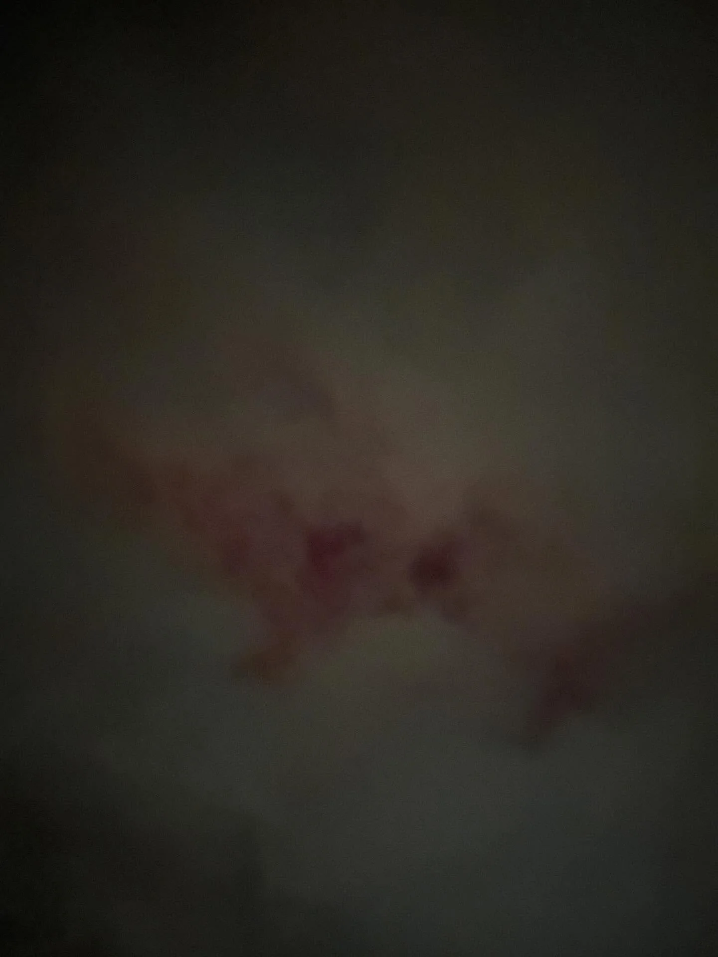 Terrible photos of the Aurora! It&rsquo;s very cloudy, and I have to wait for breaks in the cloud to catch little glimpses of pink. I don&rsquo;t care, it&rsquo;s still utterly magical and wonderful that here, in the south west of the UK I&rsquo;m se