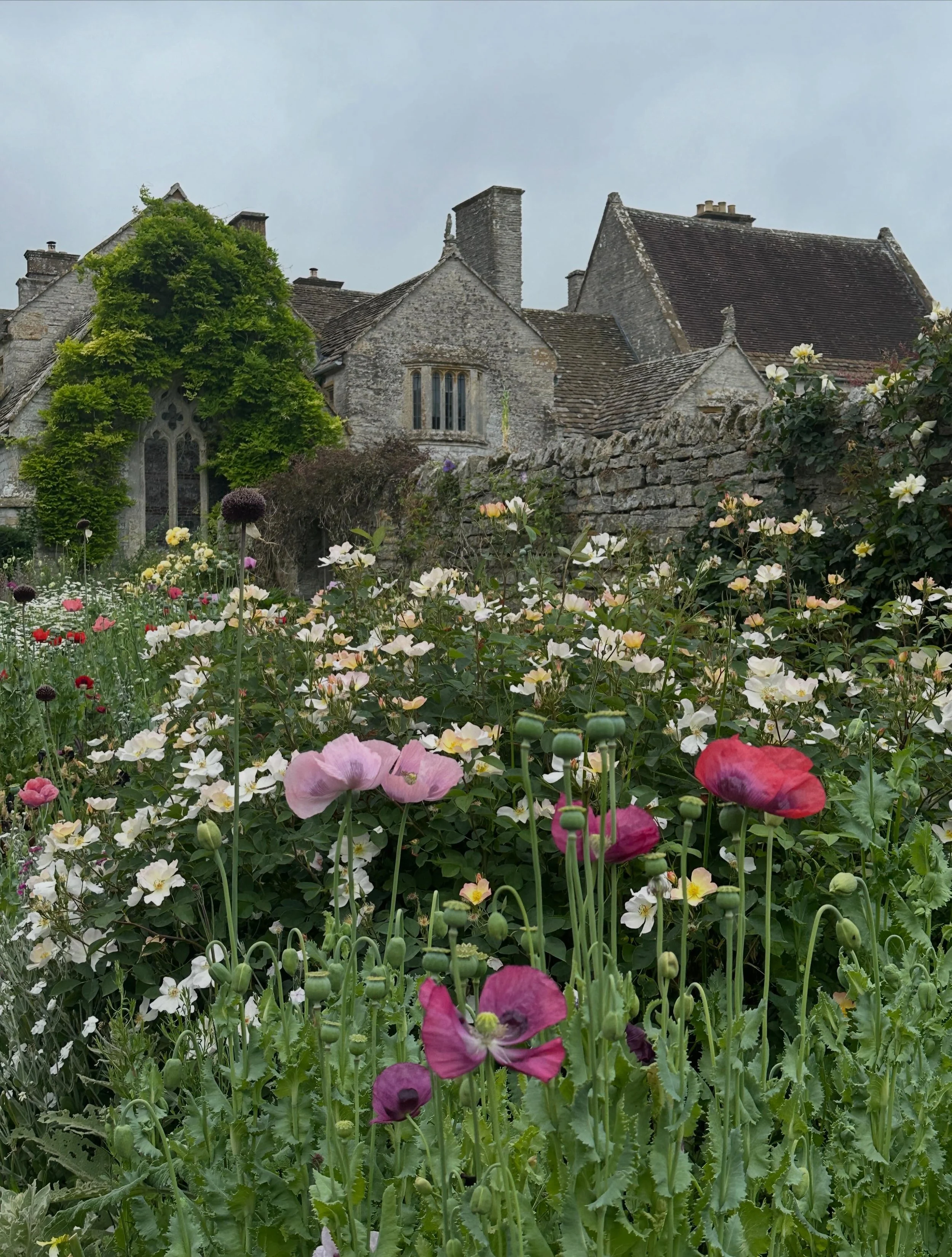 I love watching how the flower borders at our local National Trust property change - at this time of year daily. This is my most usual lunch time dog walk. 

#nationaltrust #lytescarymanor #dailywalk #juneflowers #greenwomancrafts
